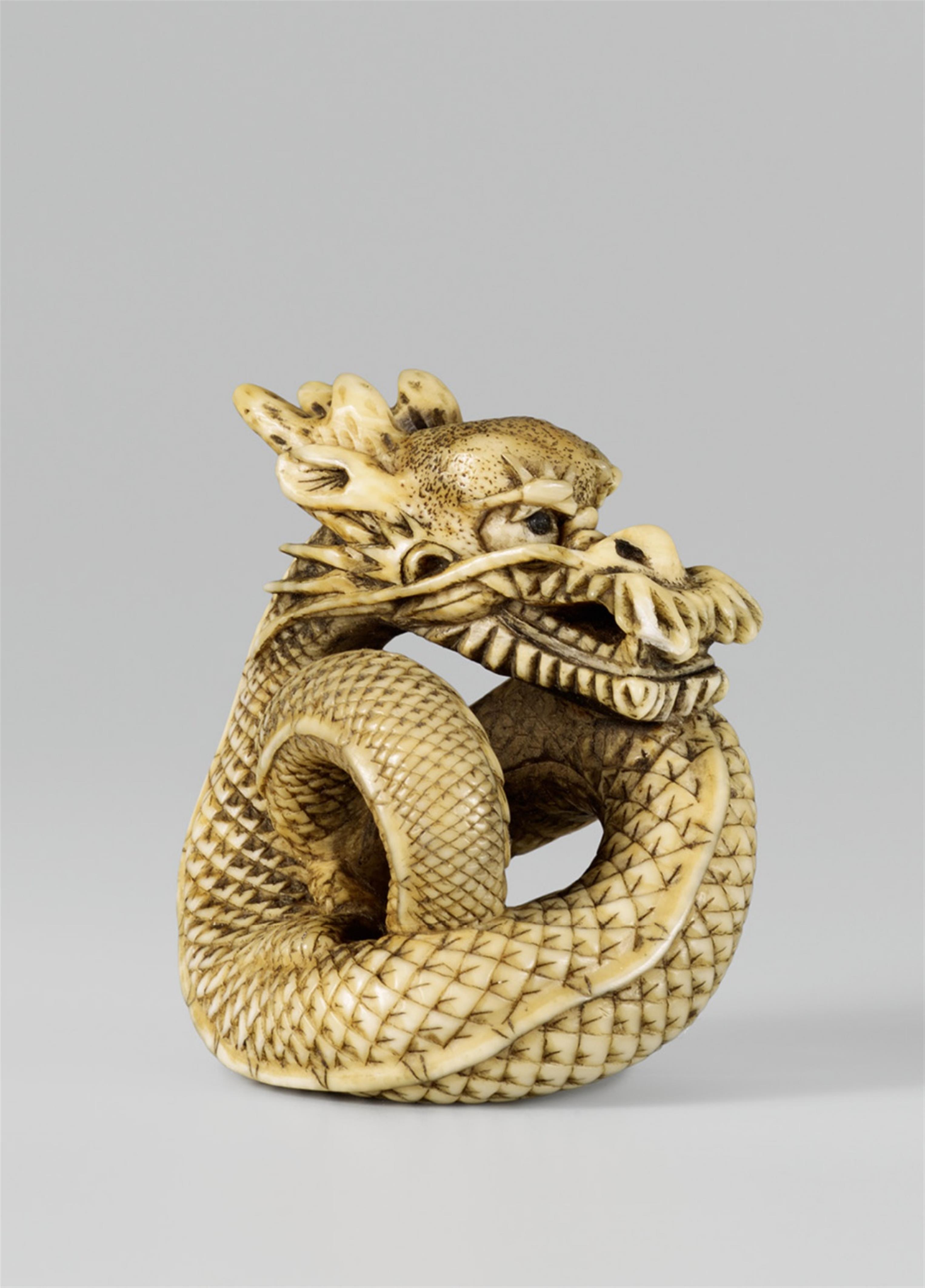 A large ivory netsuke of a coiled dragon. Late 19th century - image-1