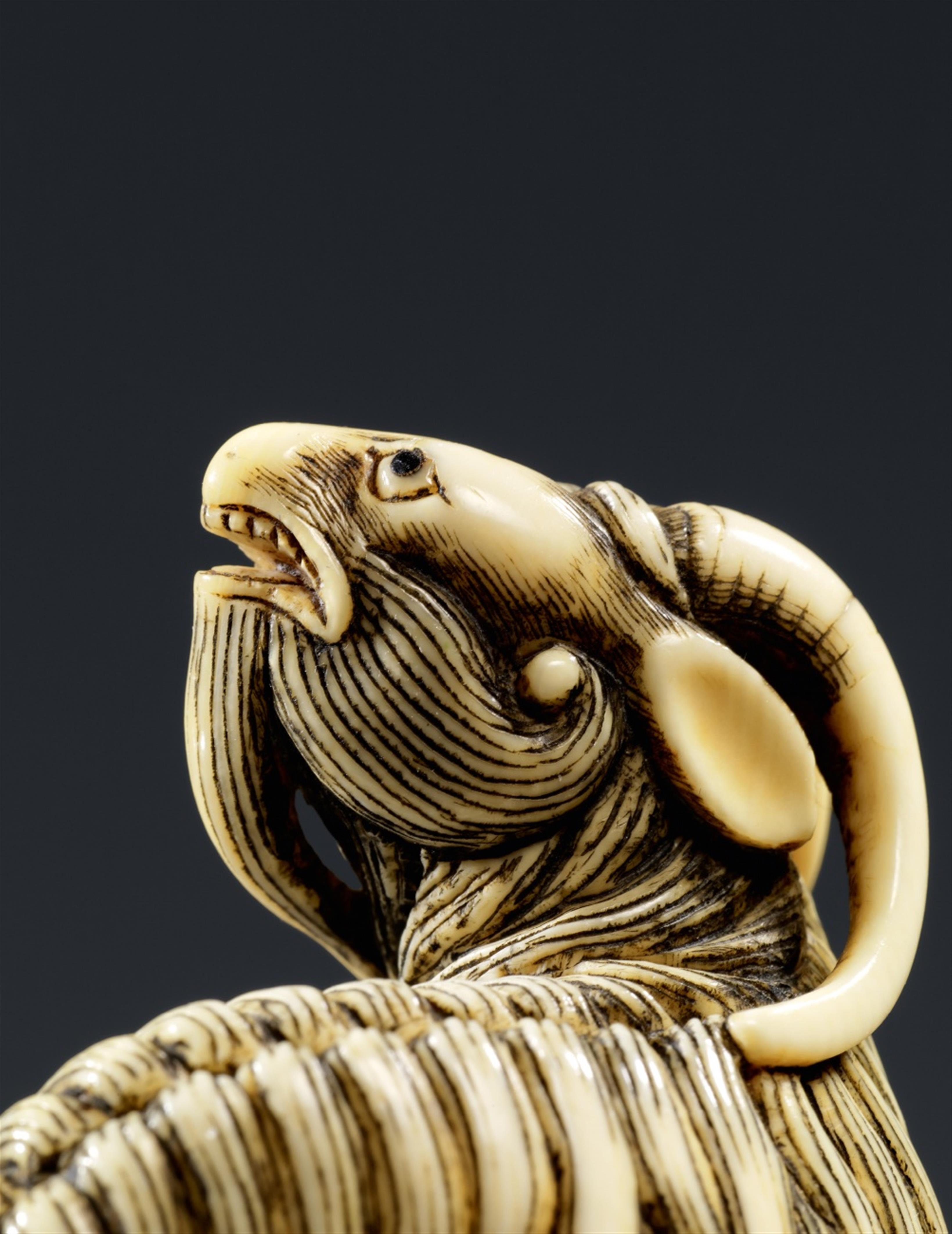 A Kyoto school ivory netsuke of a long-haired goat. Late 18th century - image-2
