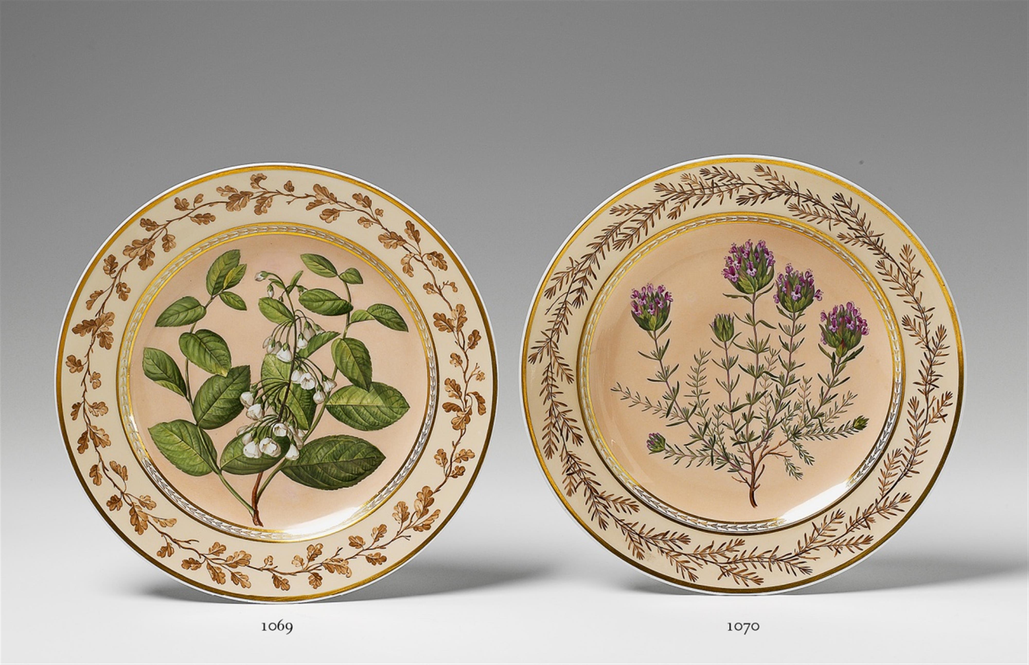 A Berlin KPM porcelain botanical plate "Thymus villosus" - image-2