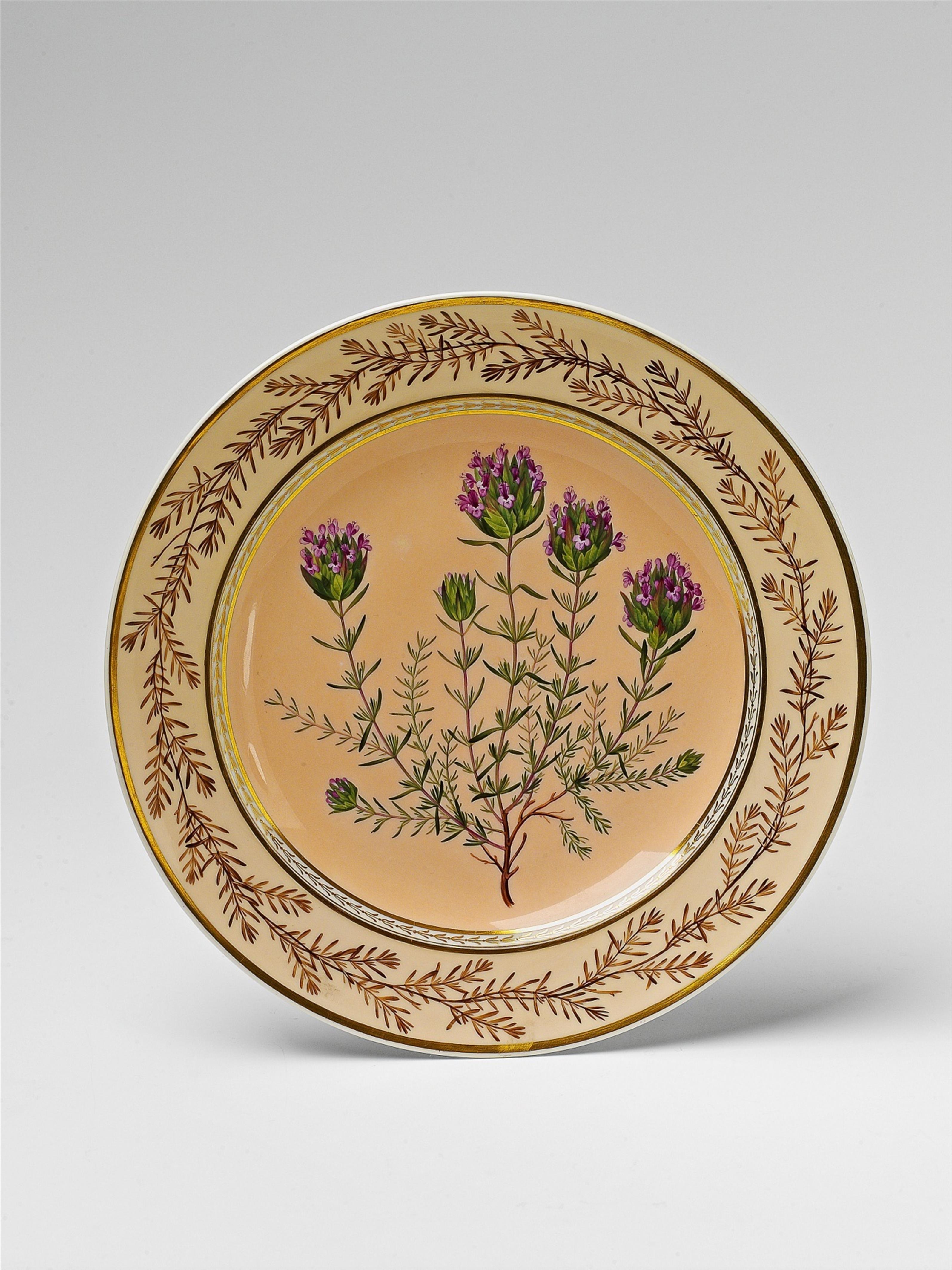 A Berlin KPM porcelain botanical plate "Thymus villosus" - image-1