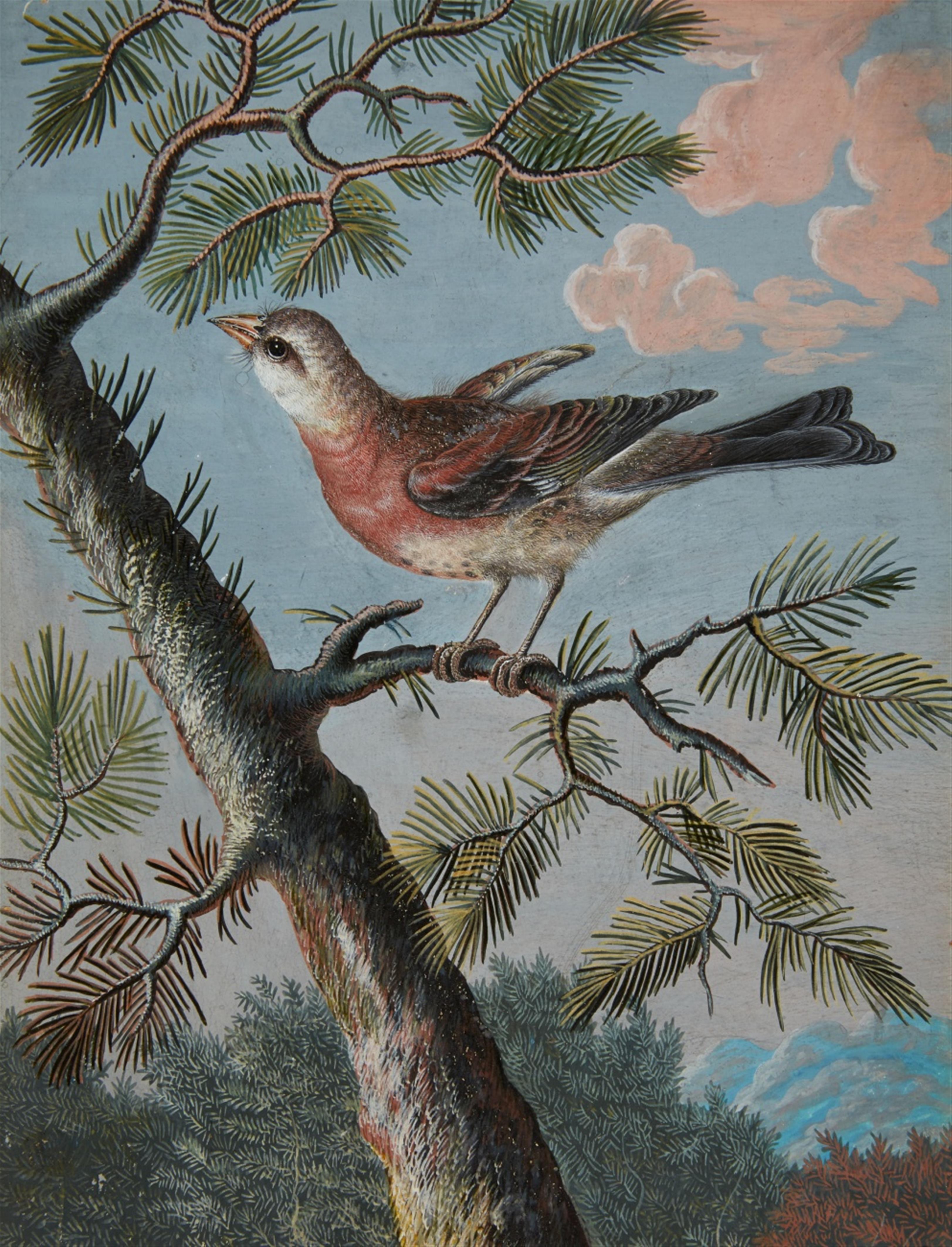 Christoph Ludwig Agricola - Singvogel auf einem Nadelbaum - image-1
