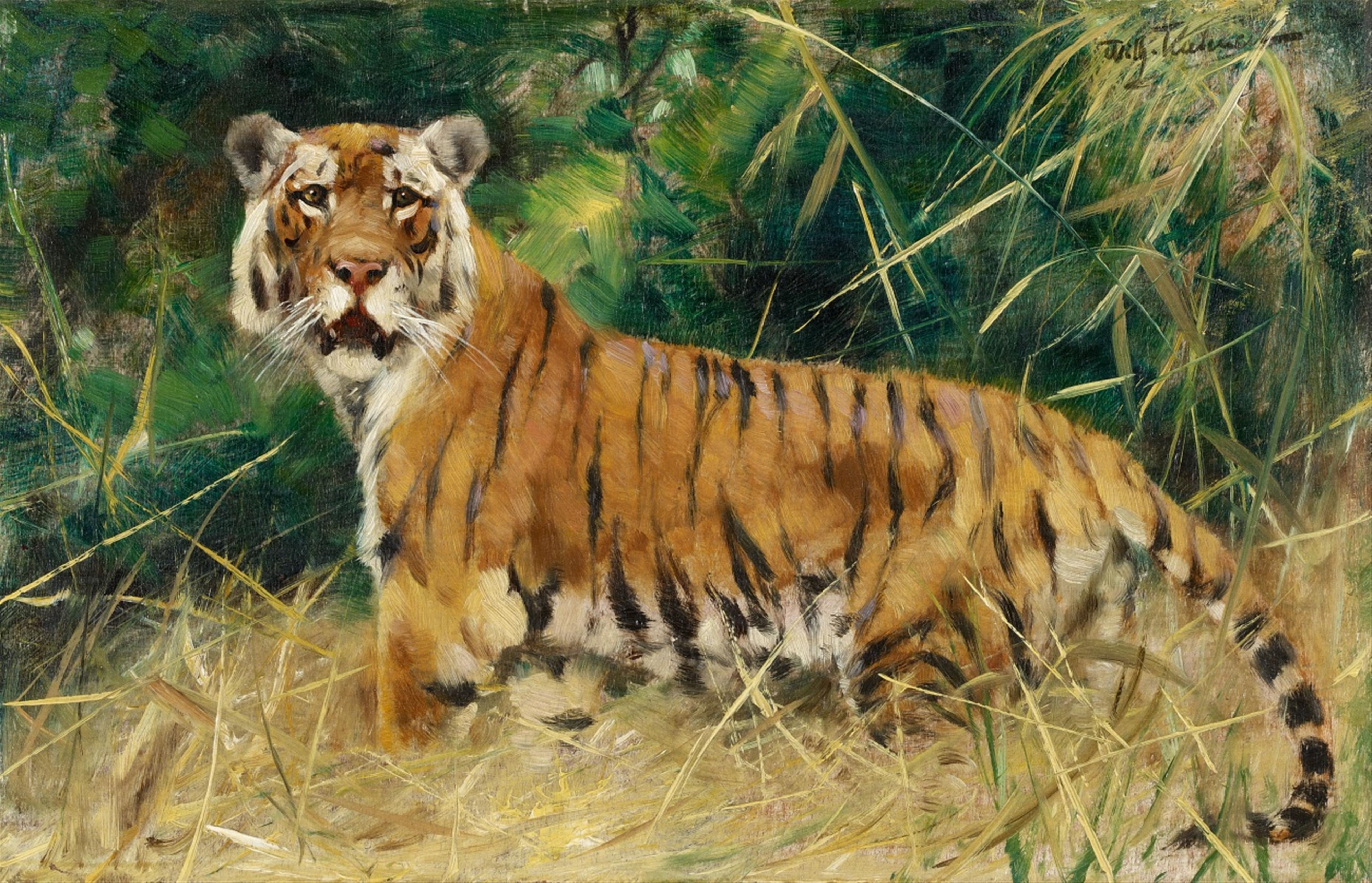 Wilhelm Kuhnert - Tiger - image-1