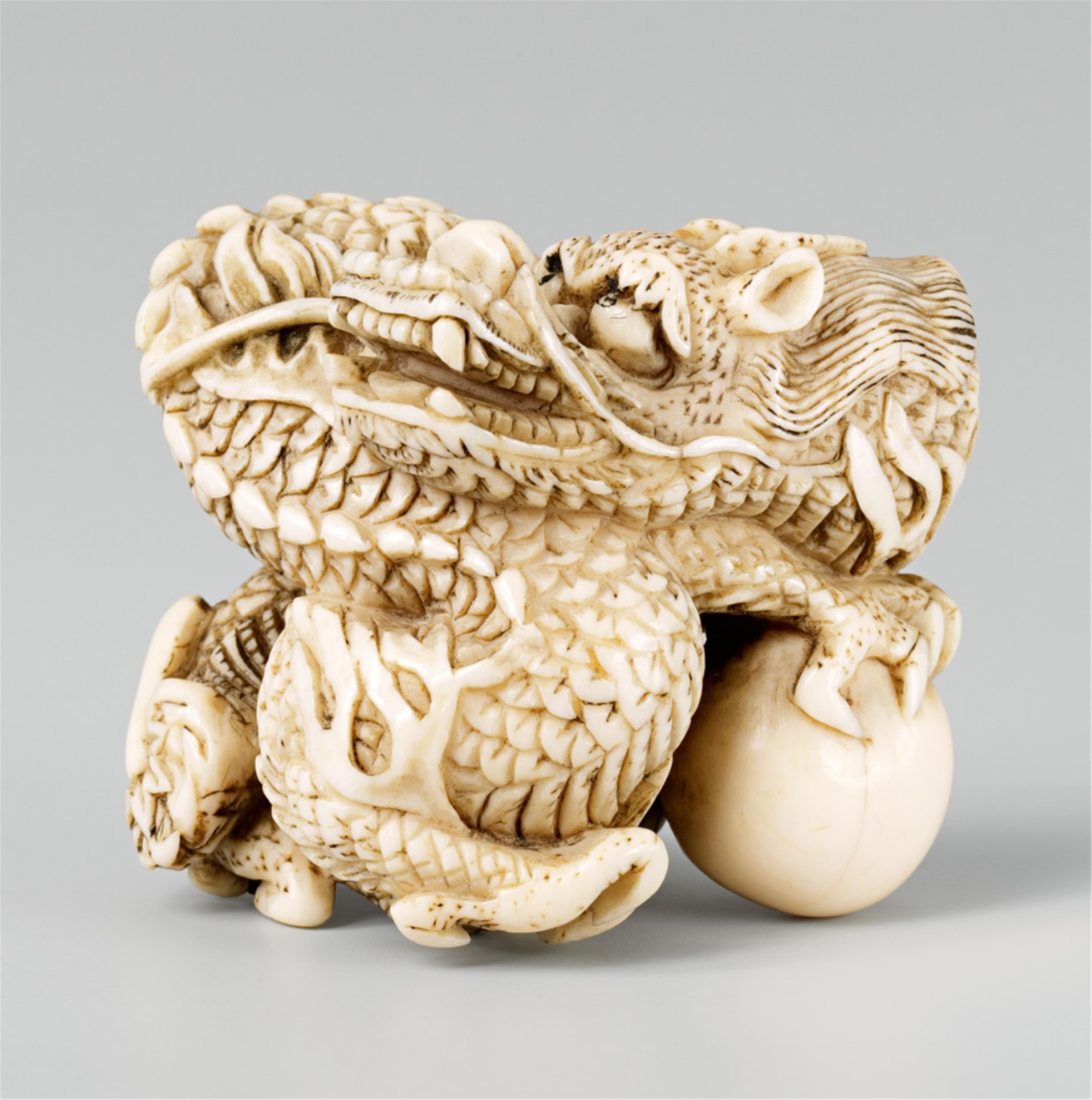 A large ivory netsuke of a coiled dragon. Early 19th century - image-1