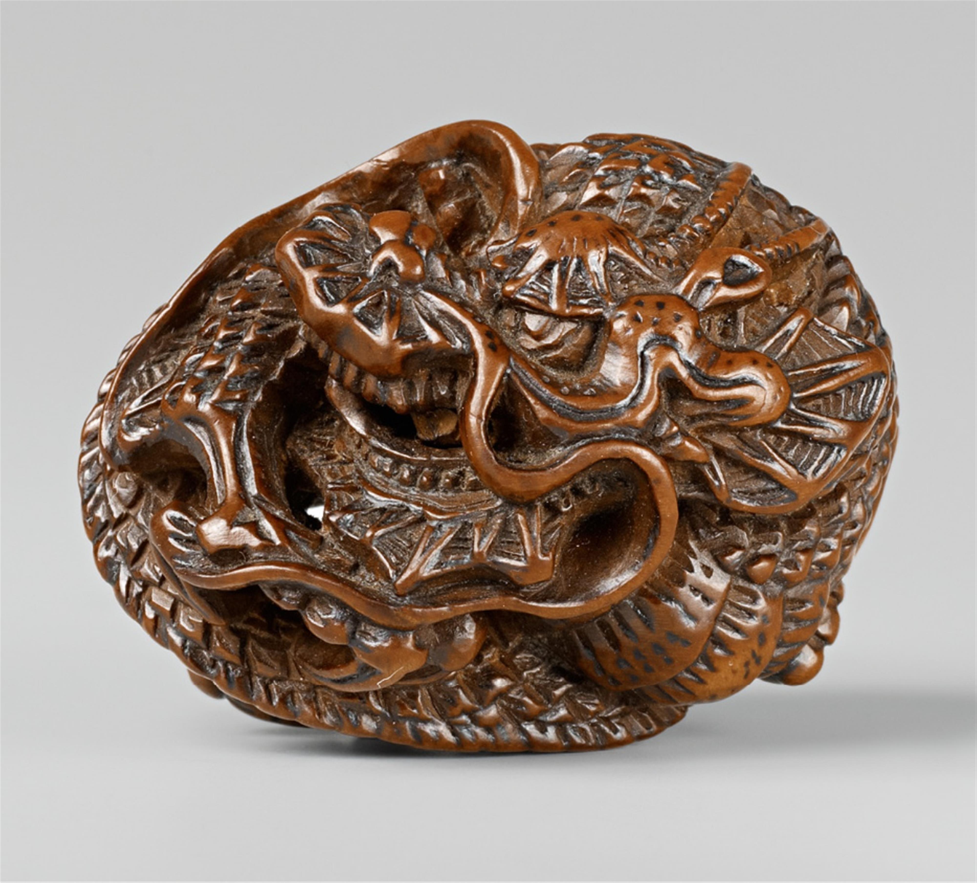 A fine boxwood netsuke of a dragon, by Hokuzan. Mid-19th century - image-1