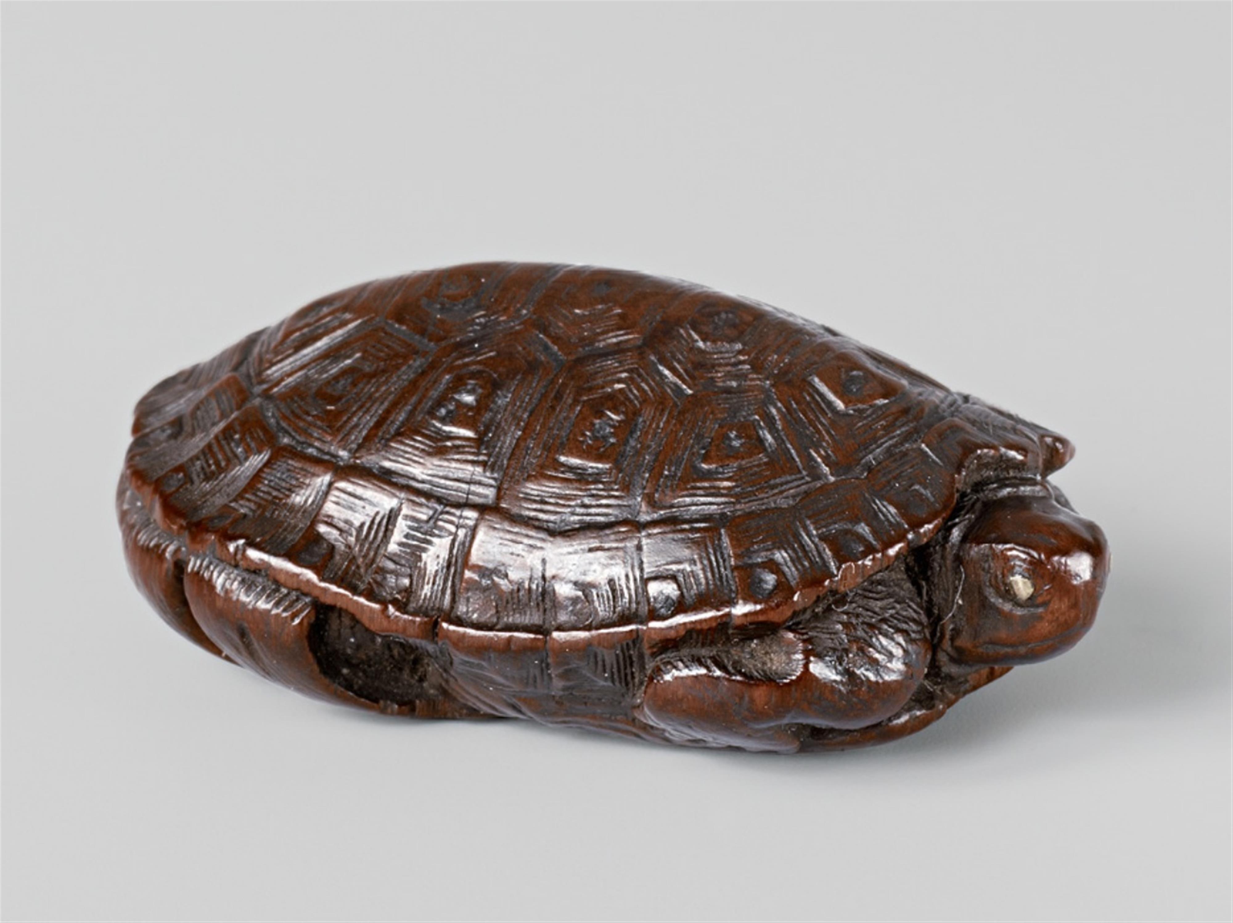 A fine wood netsuke of a minogame, by Hiroyoshi. Mid-19th century - image-1