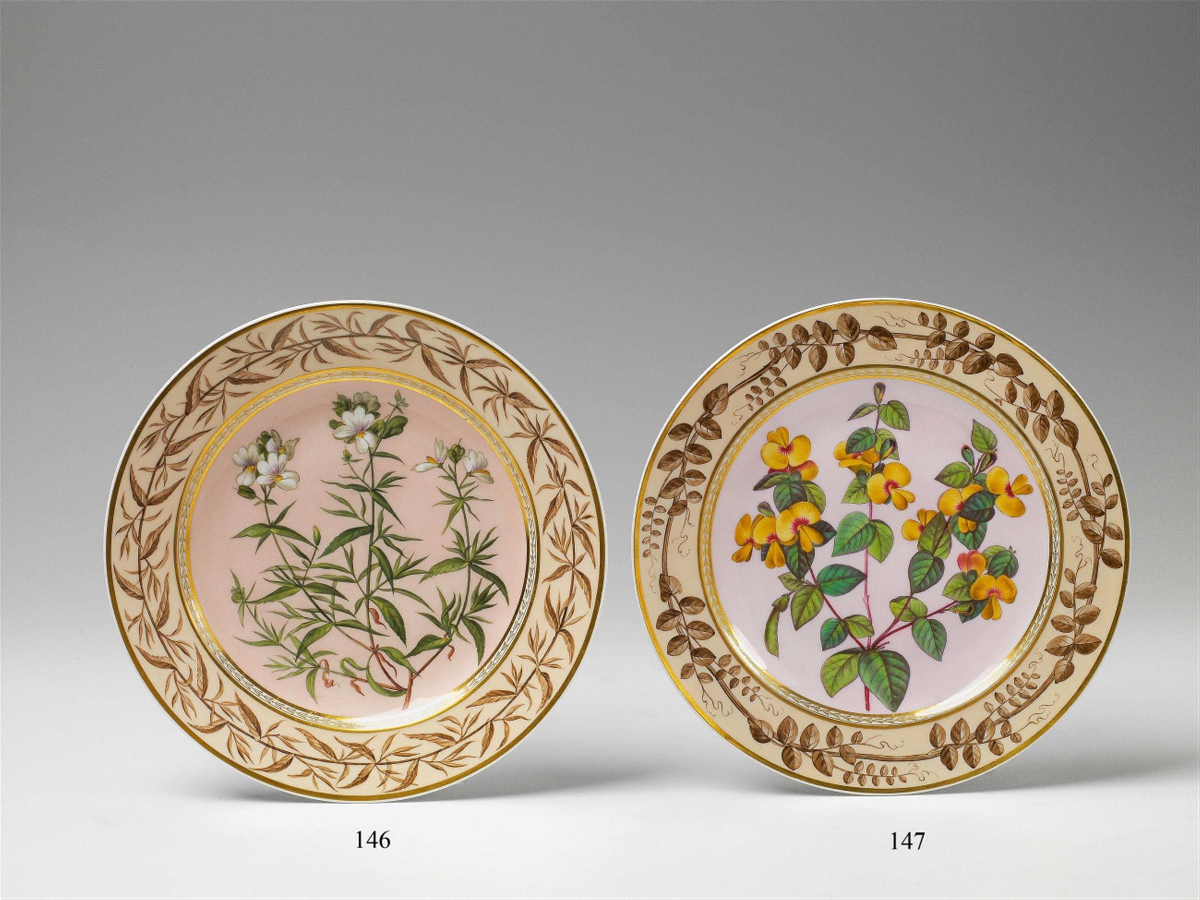A Berlin KPM porcelain botanical plate "nemesia foetens" - image-1