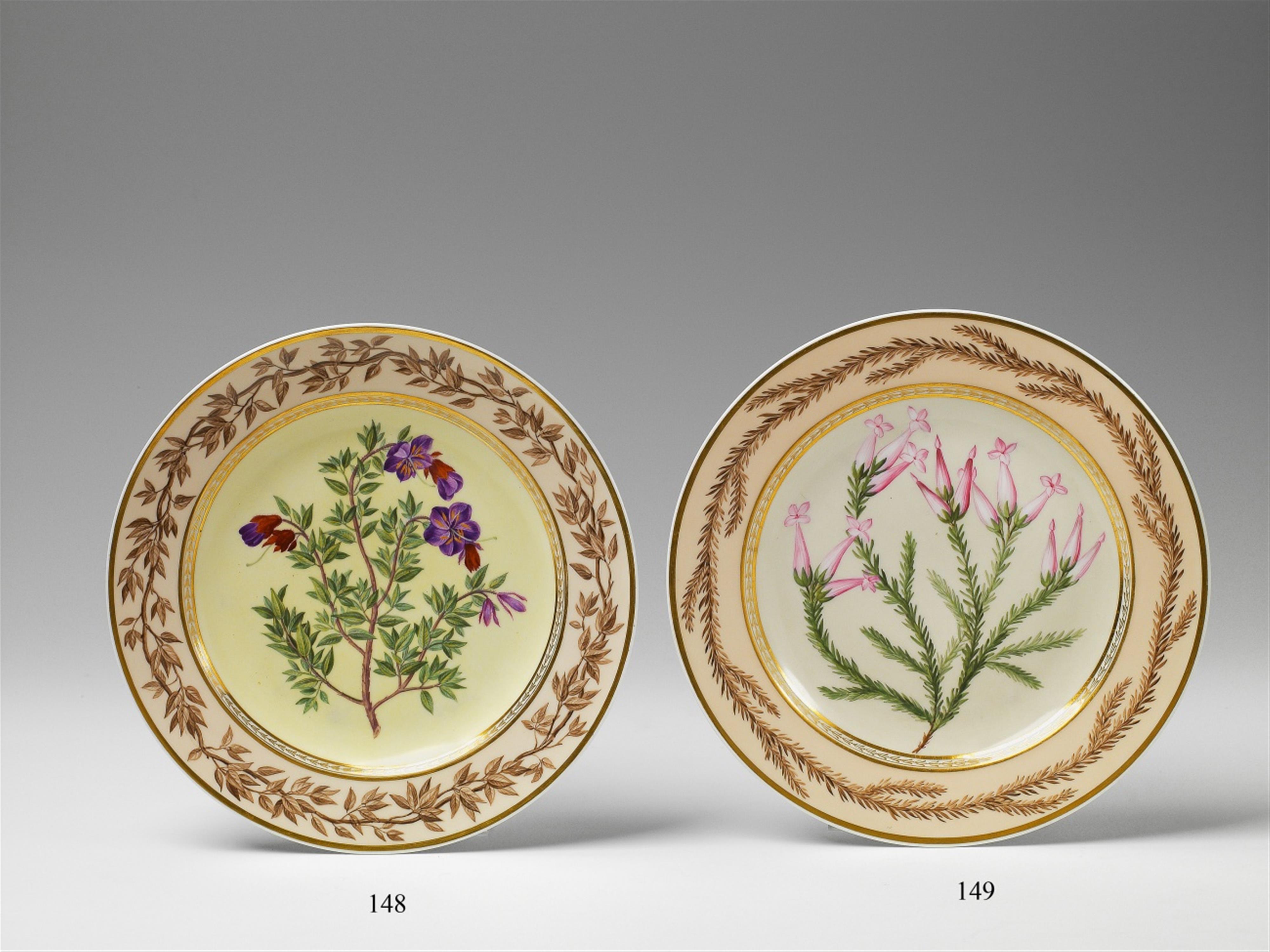 A Berlin KPM porcelain botanical plate "erica langenaeformis" - image-1
