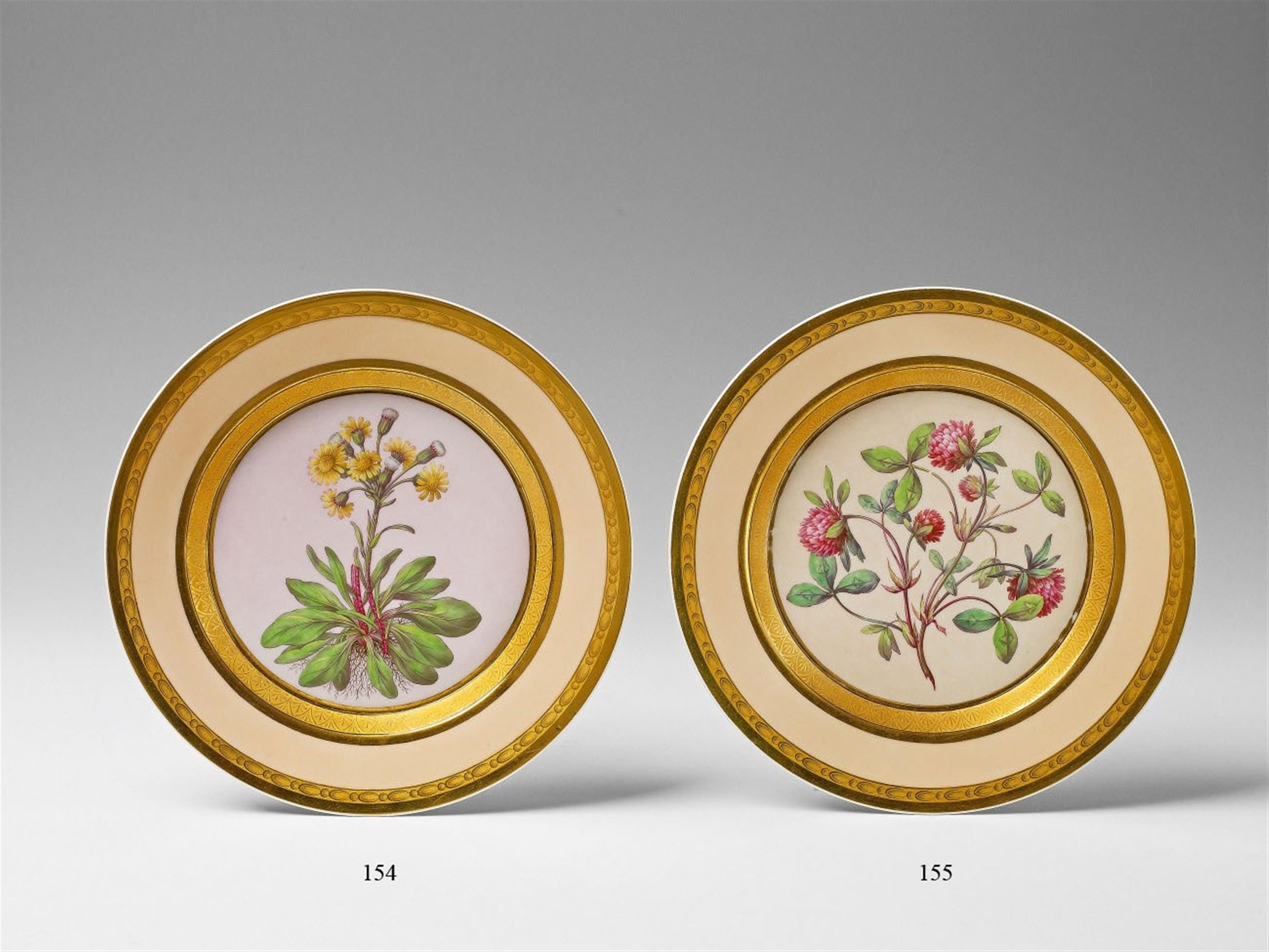 A Berlin KPM botanical porcelain plate "trifolium pratense" - image-1