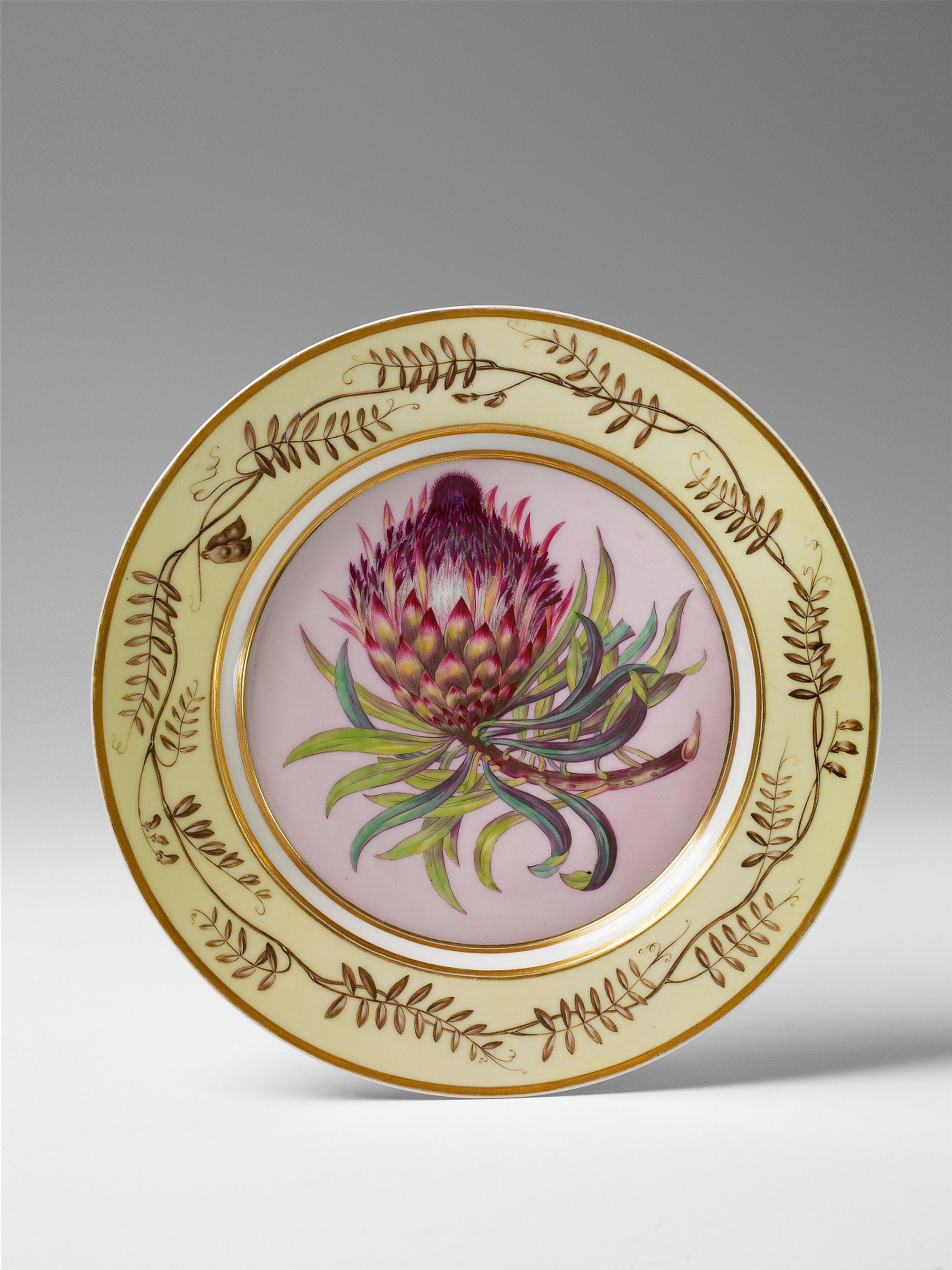 A Berlin KPM porcelain botanical "protea longifolia" plate - image-1
