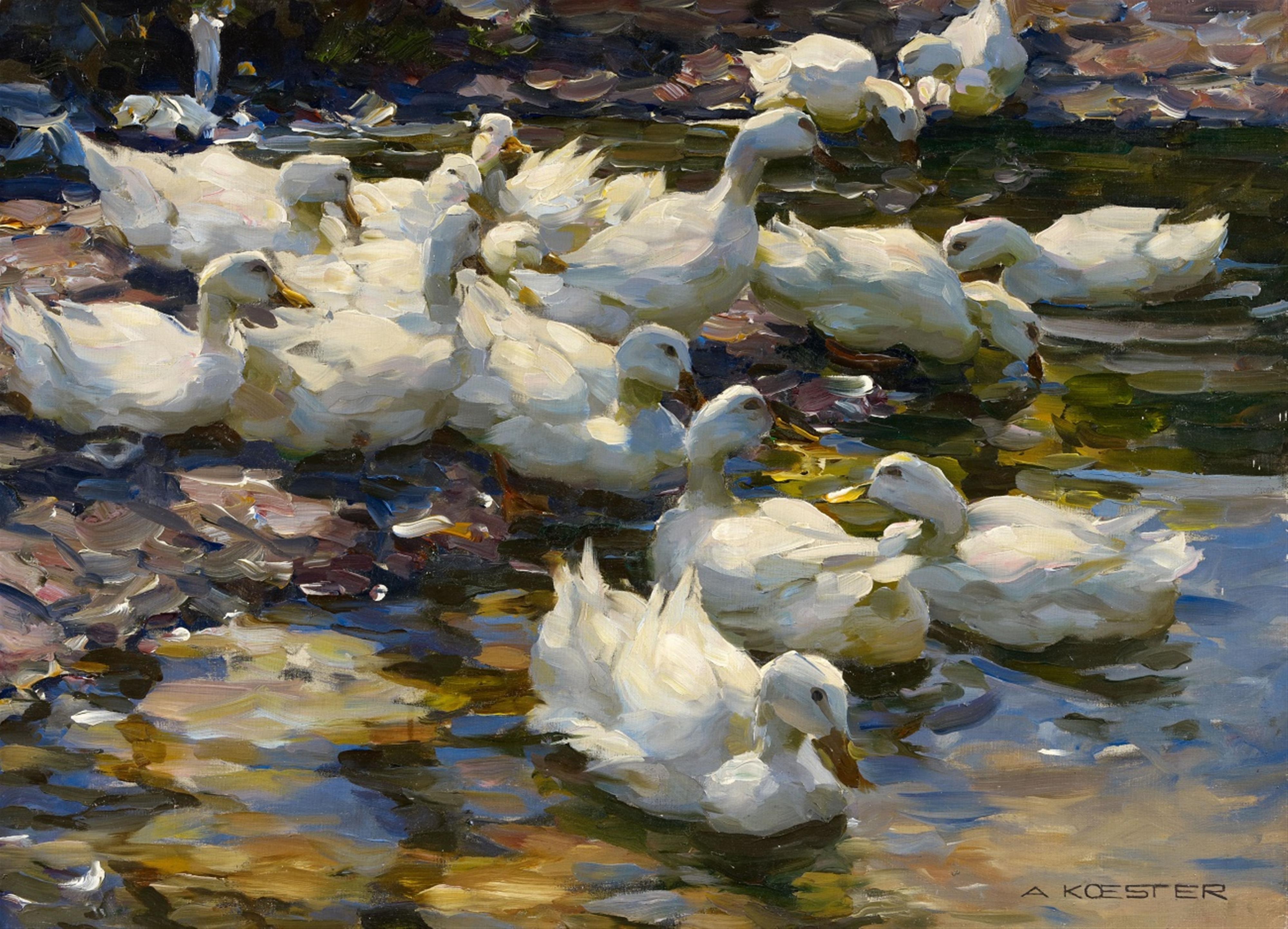 Alexander Koester - Ducks on the Water - image-1