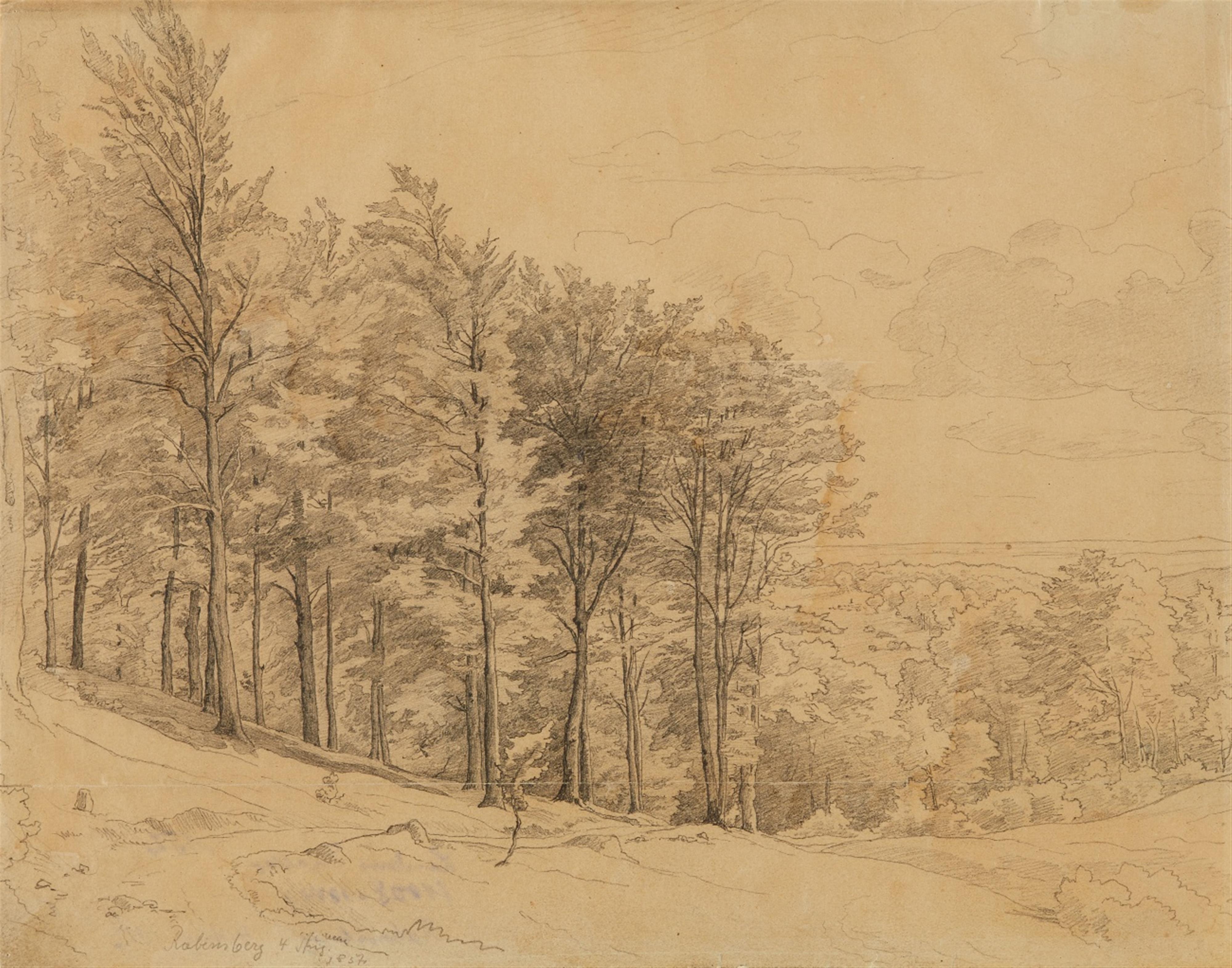 Ludwig Richter - A Wooded Landscape - image-1
