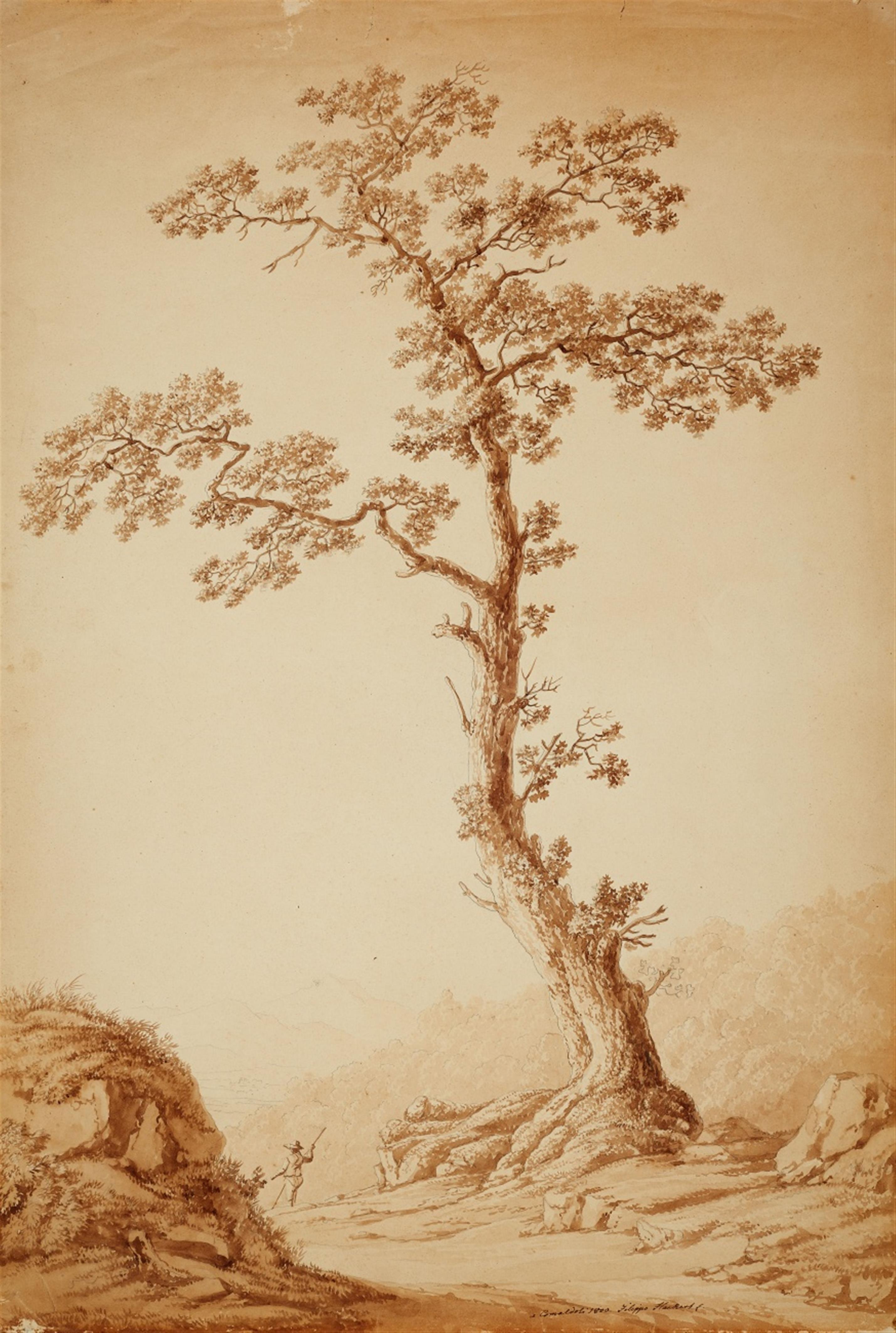 Jacob Philipp Hackert - Landschaft bei Camaldoli mit großer Eiche und einem Wanderer - image-1