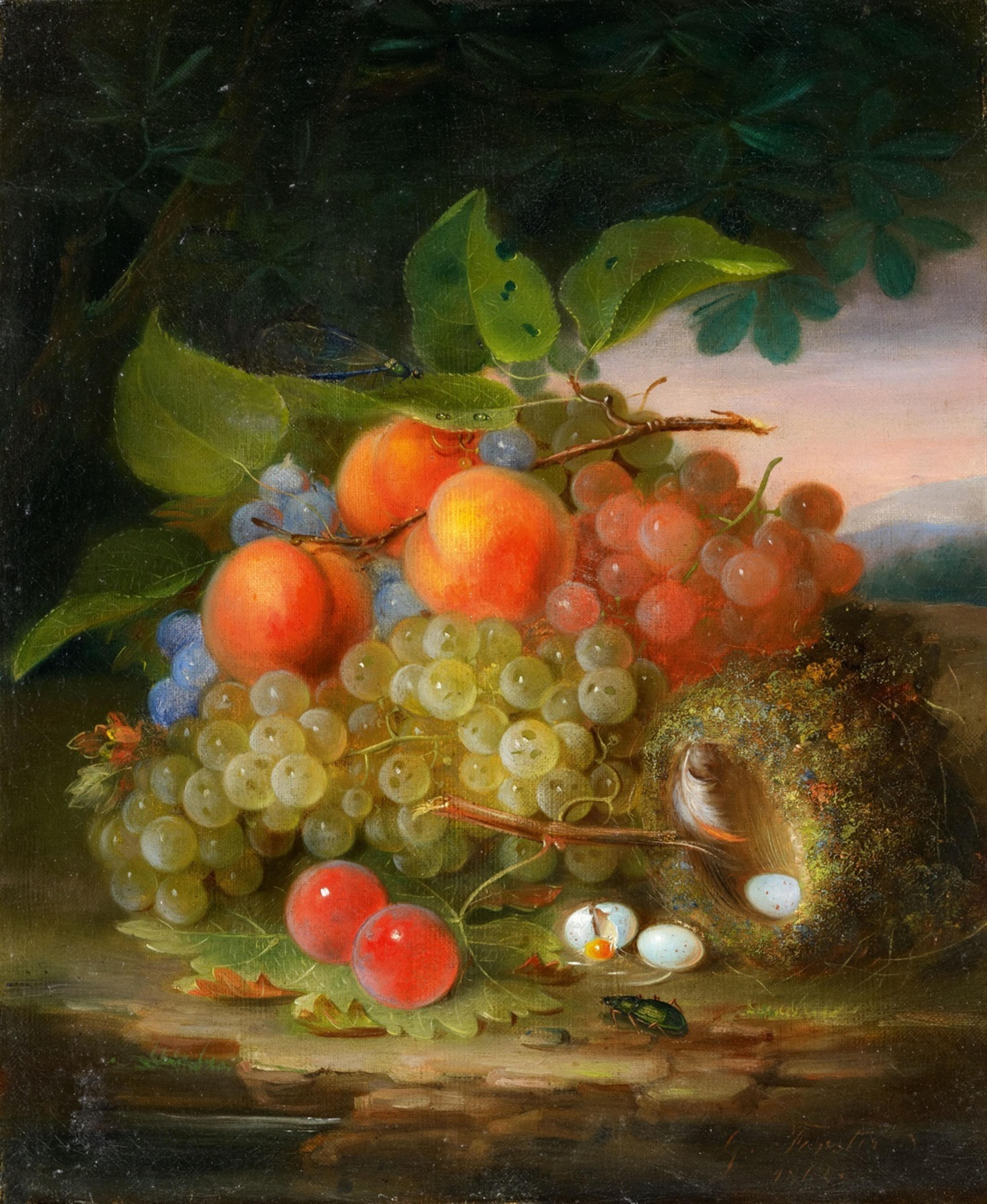 George Forster - Stillleben mit Früchten und Vogelnest - image-1