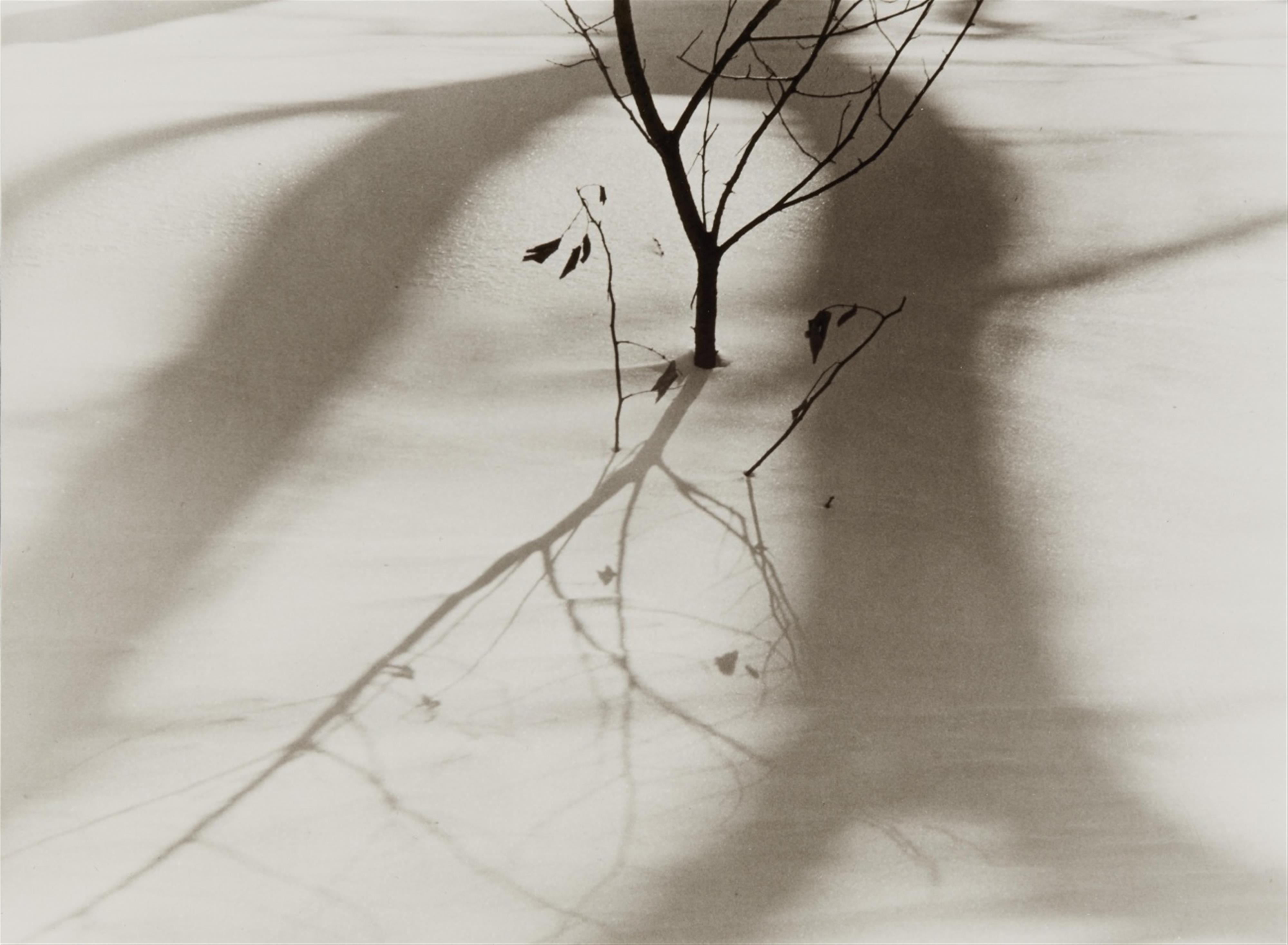 Ralph Steiner - Untitled - image-1