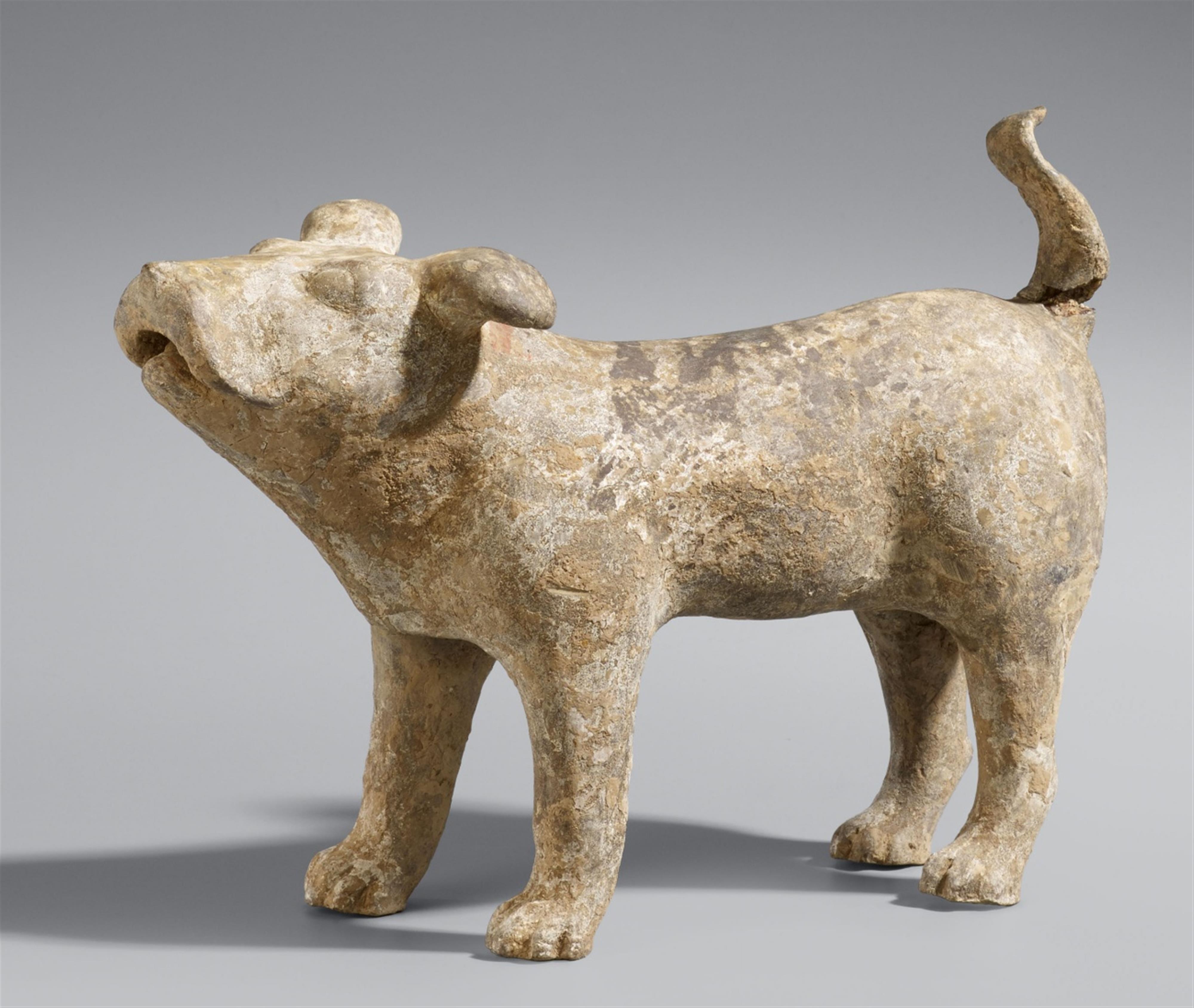 A figure of a standing pottery dog. Han dynasty (206 BC-220 AD) - image-1