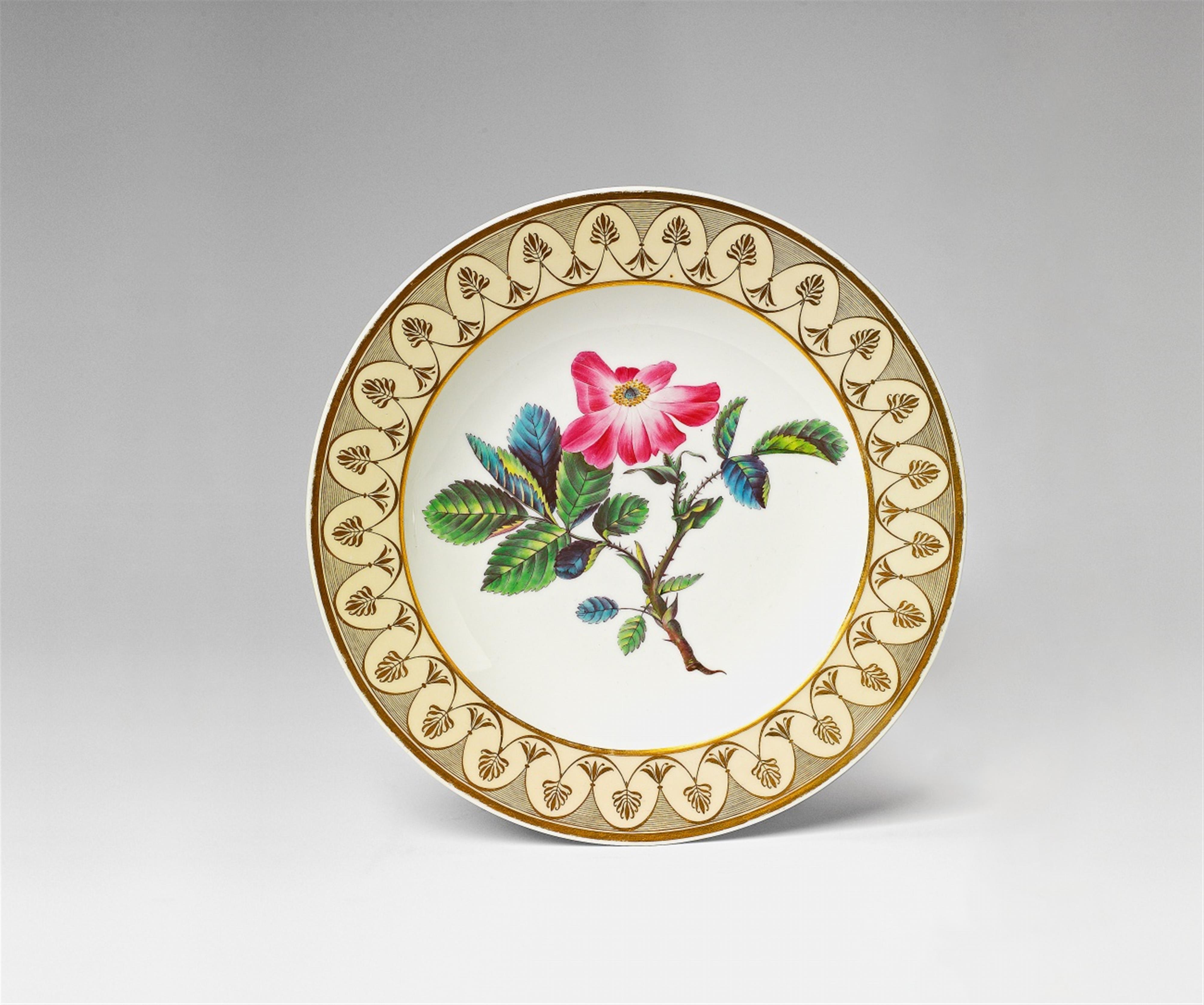 A Berlin KPM porcelain plate from the botanical service for Empress Joséphine - image-2