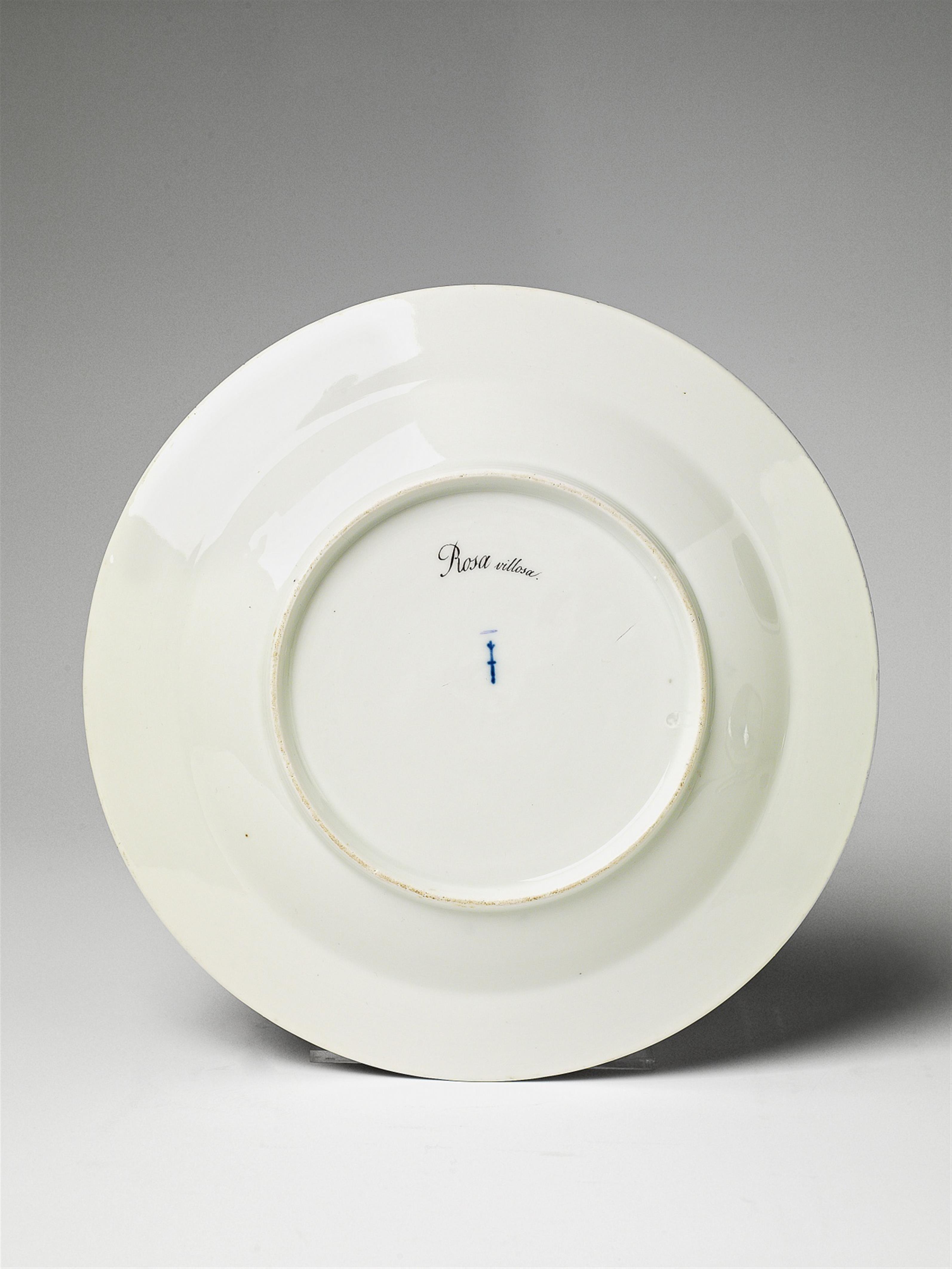 A Berlin KPM porcelain plate from the botanical service for Empress Joséphine - image-3