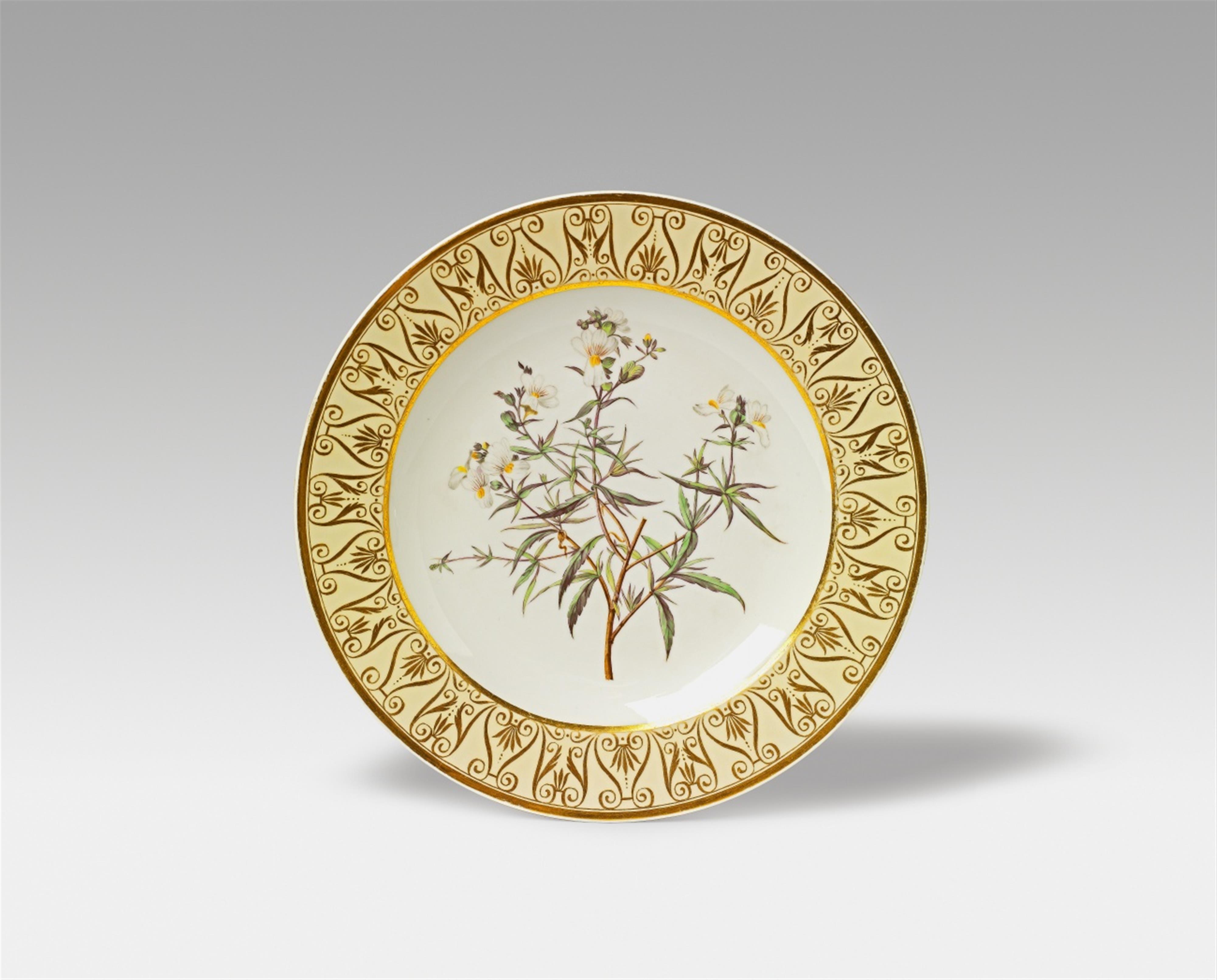 A Berlin KPM porcelain plate from the botanical service for Empress Joséphine - image-2