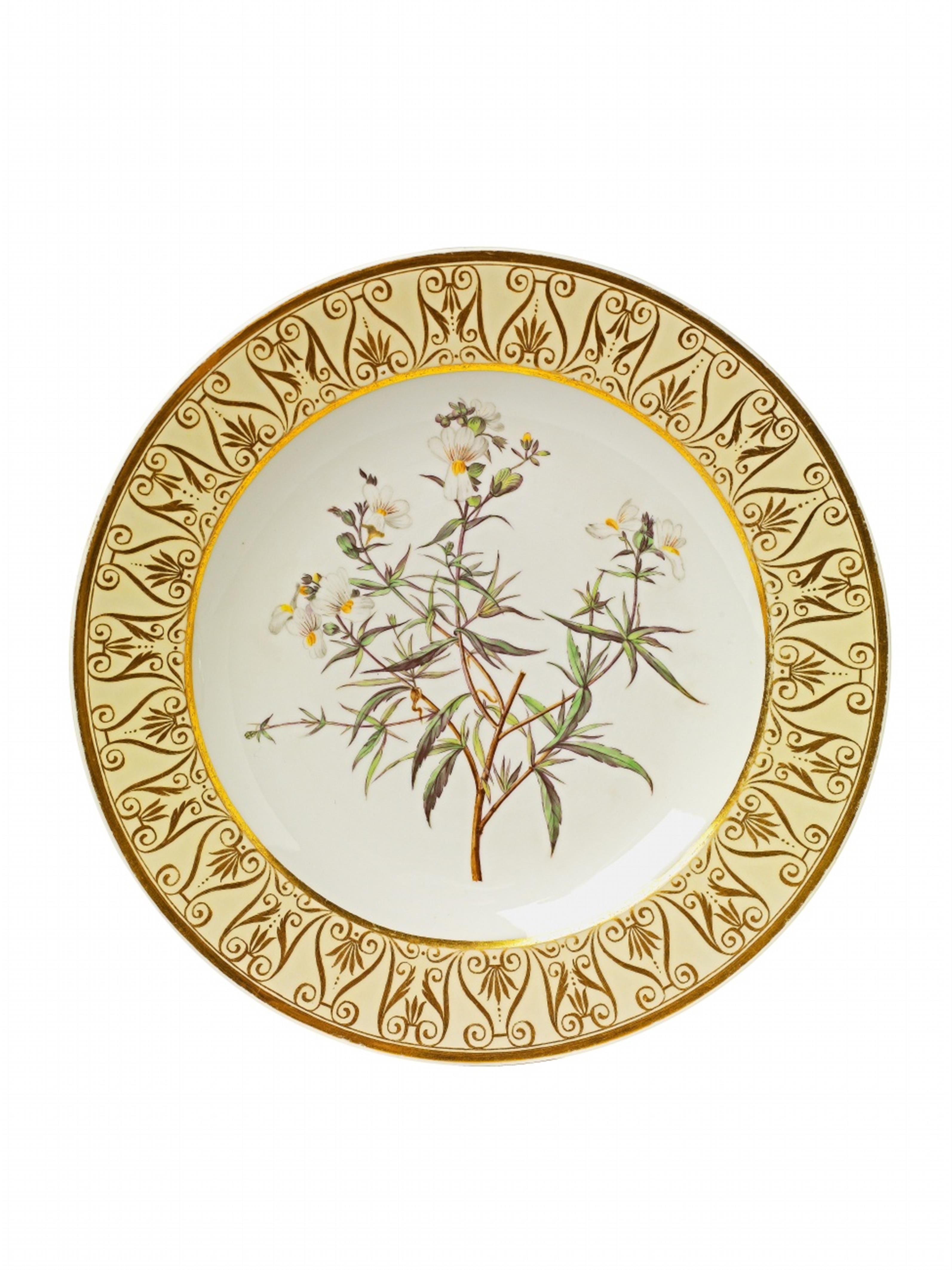 A Berlin KPM porcelain plate from the botanical service for Empress Joséphine - image-4