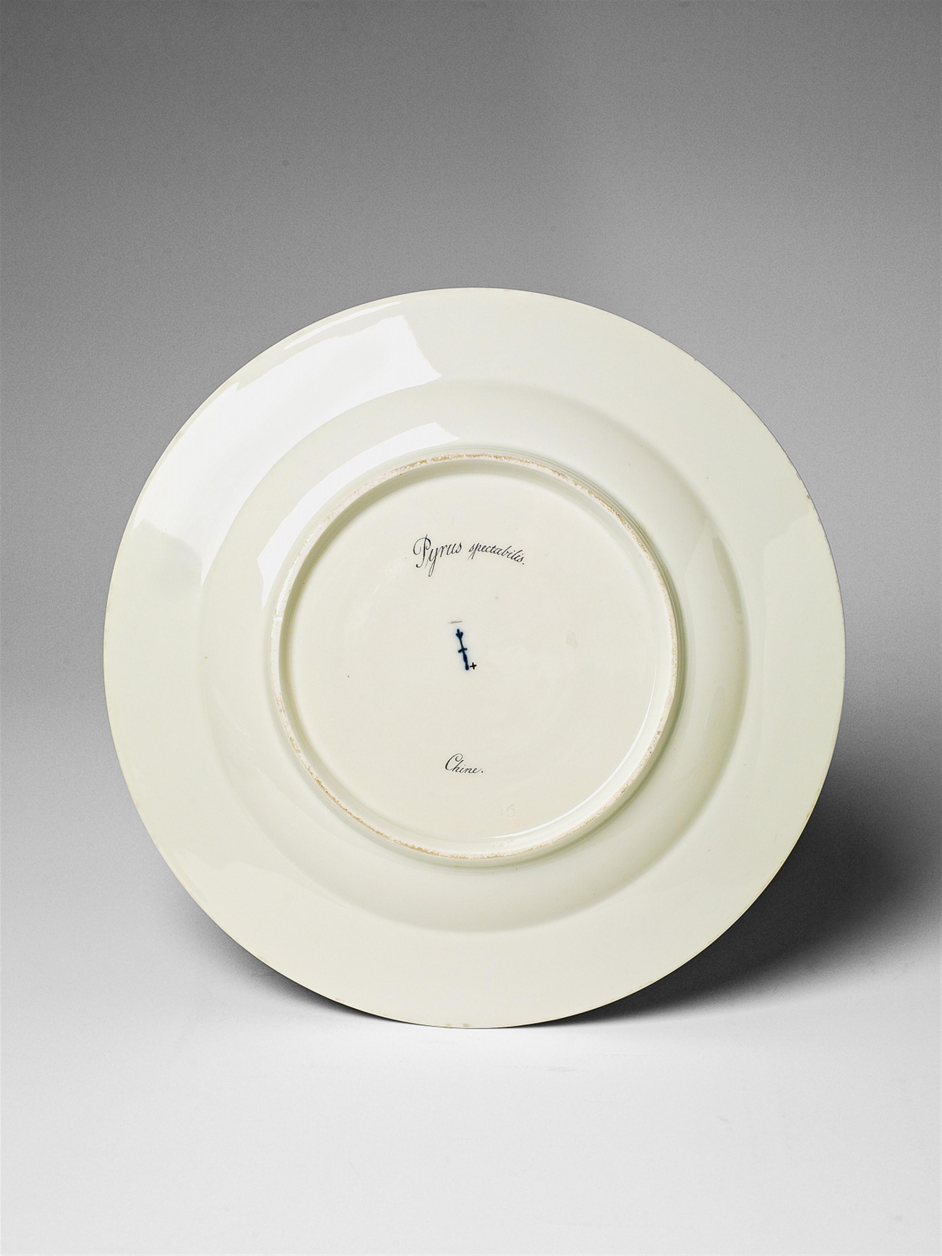 A Berlin KPM botanical porcelain plate with pyrus spectabilis chine - image-2