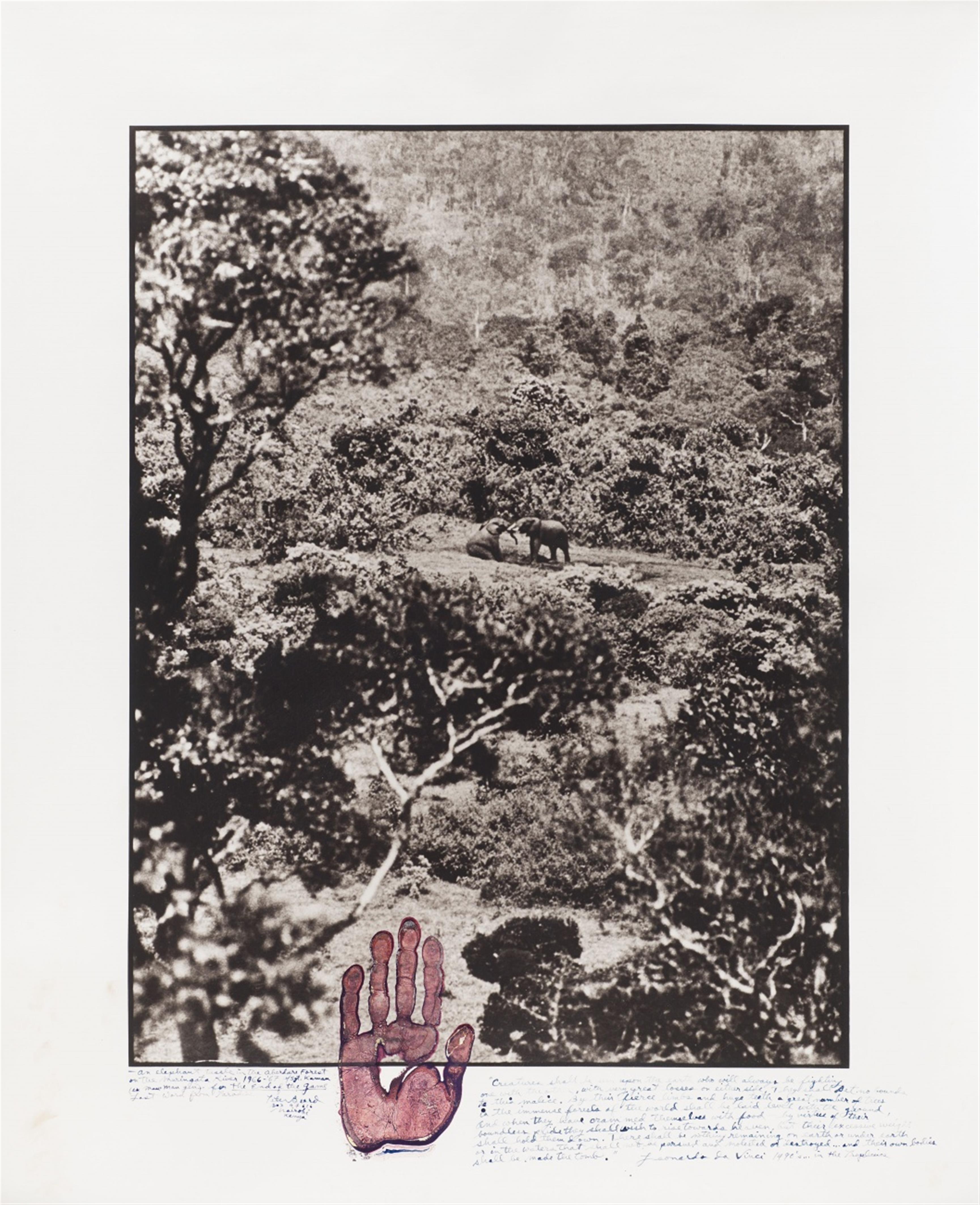 Peter Beard - Elephant tussle in the Aberdare Forest (aus der Serie: The End of the Game/Last Word from Paradise) - image-1