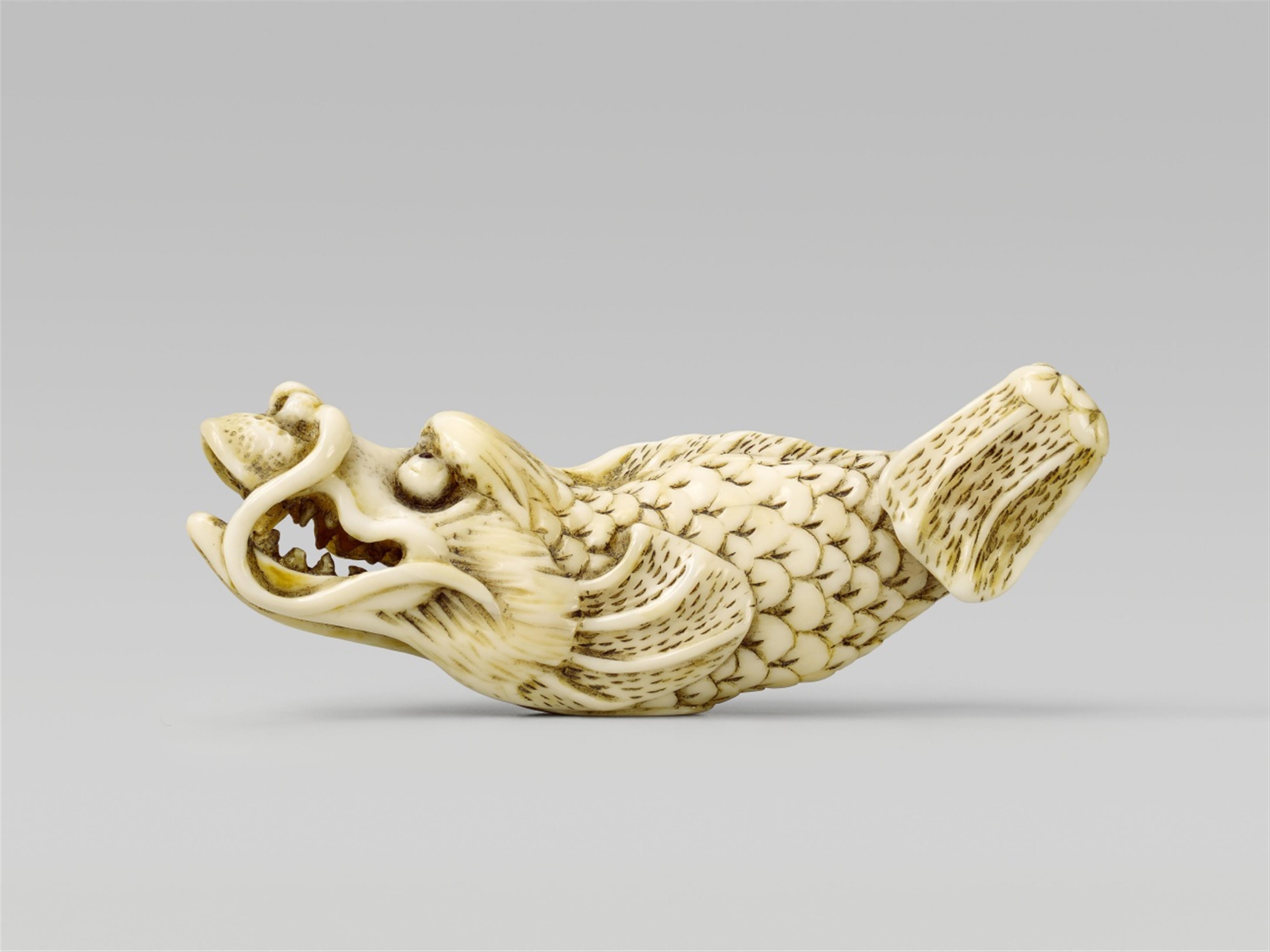 A marine ivory netsuke of a hornless dragon fish. 19th century - image-1