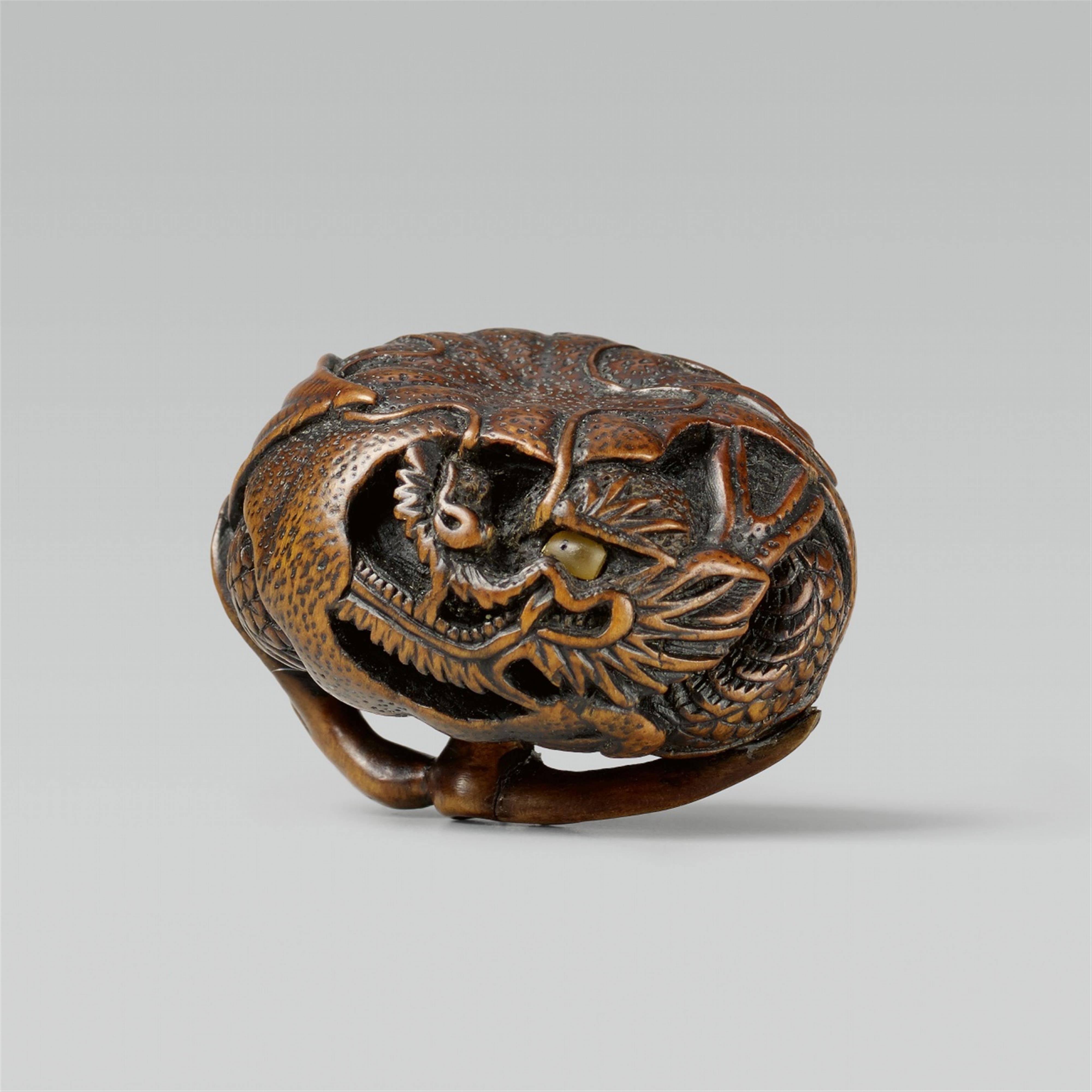 A good Tanba school boxwood netsuke of a dragon in a mikan, by Toyoshima. Mid-19th century - image-1