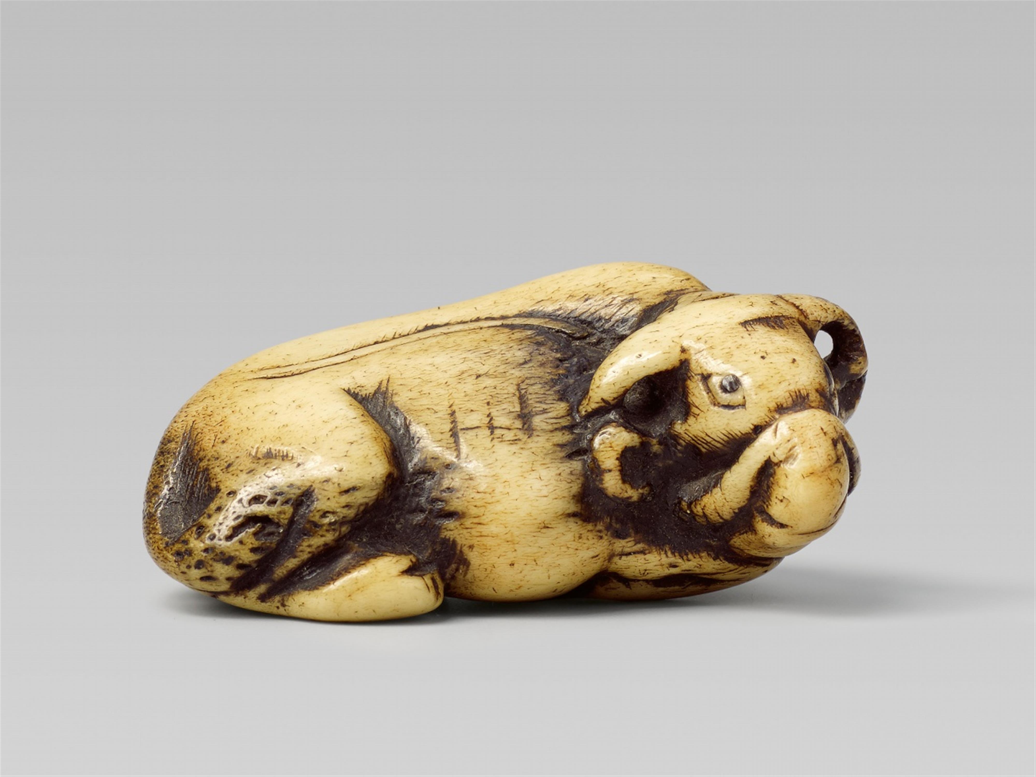 A stag antler netsuke of a recumbent ox. 19th century - image-1