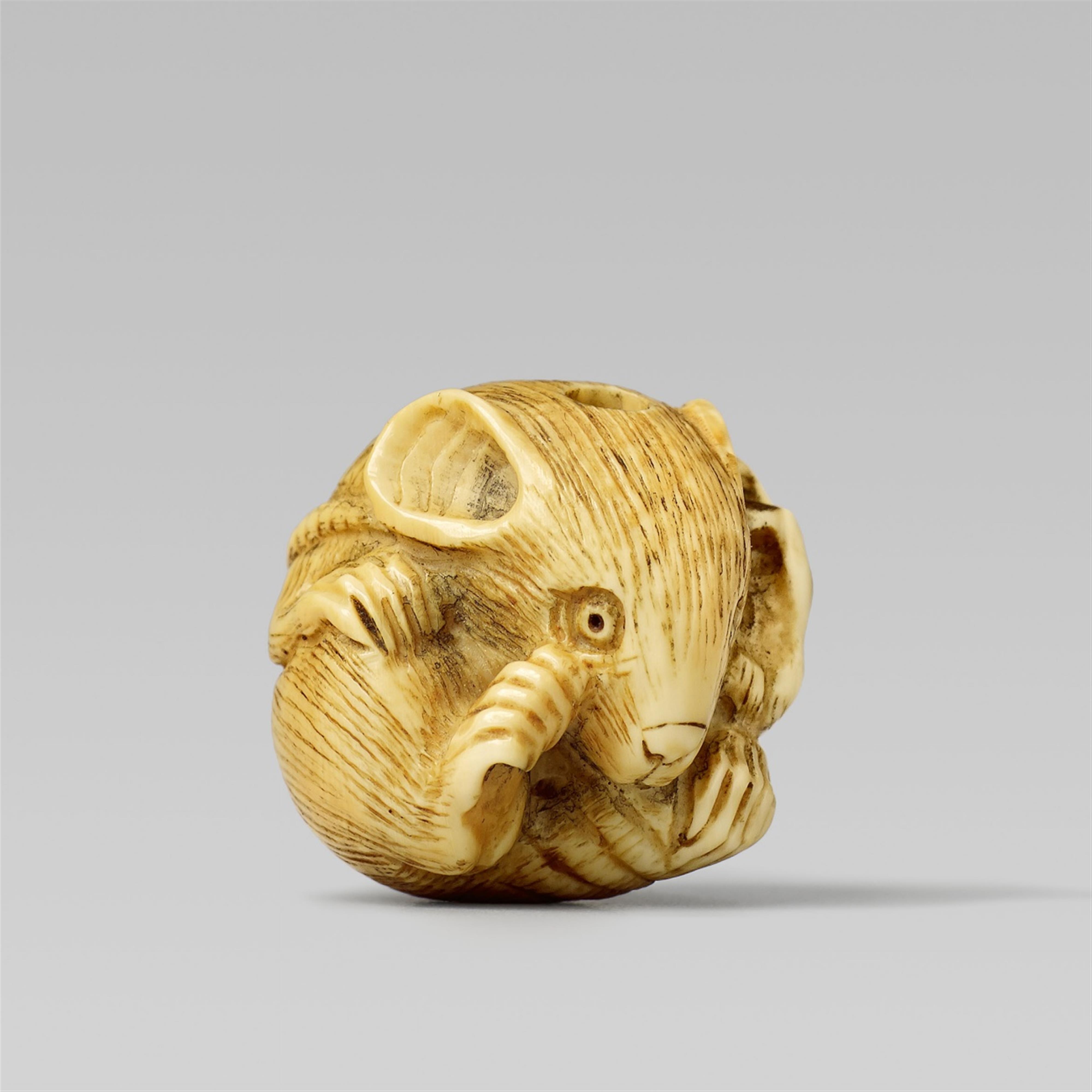 An ivory ojime of a coiled rat. Late 19th century - image-1