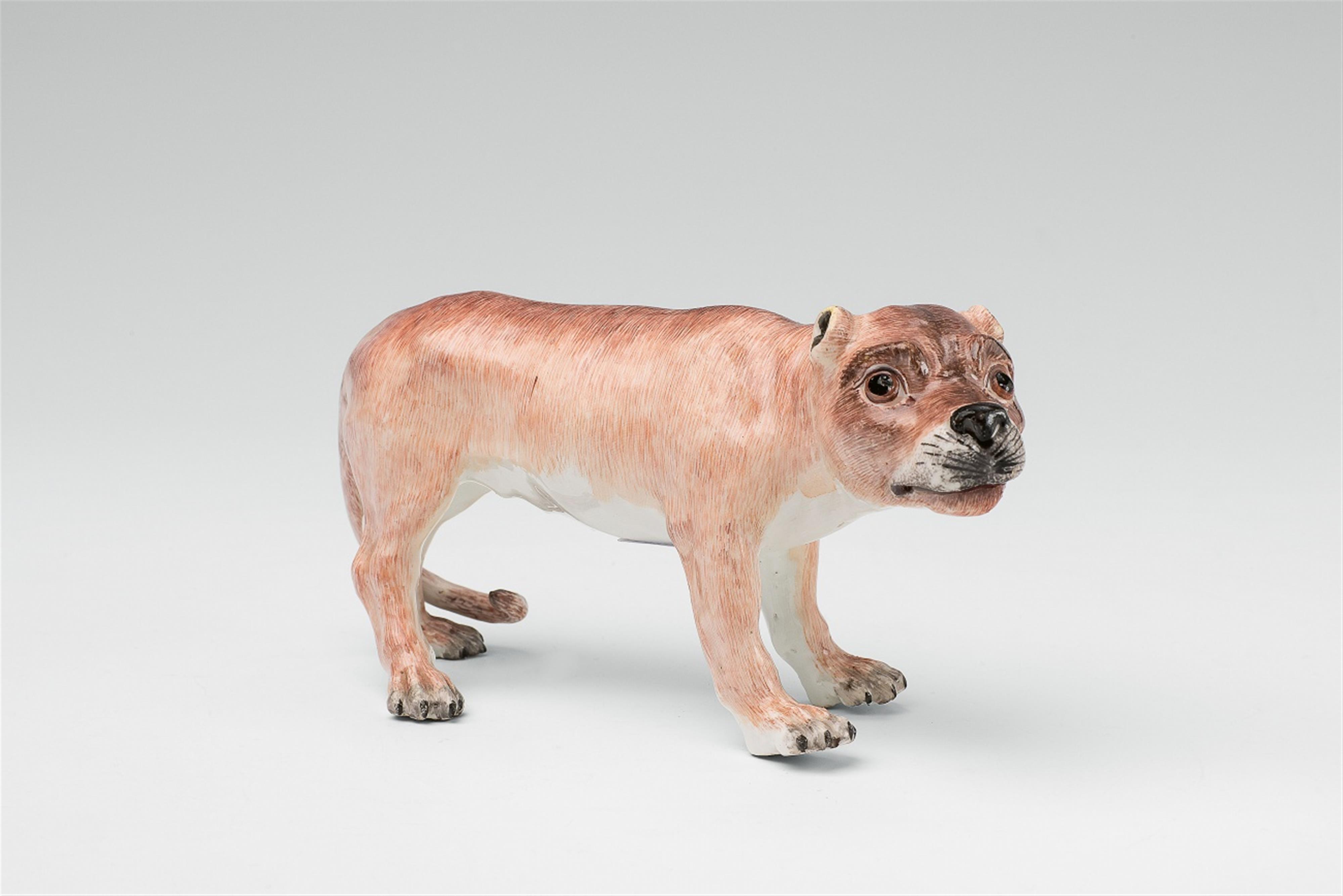A rare Meissen porcelain model of a standing lioness - image-1