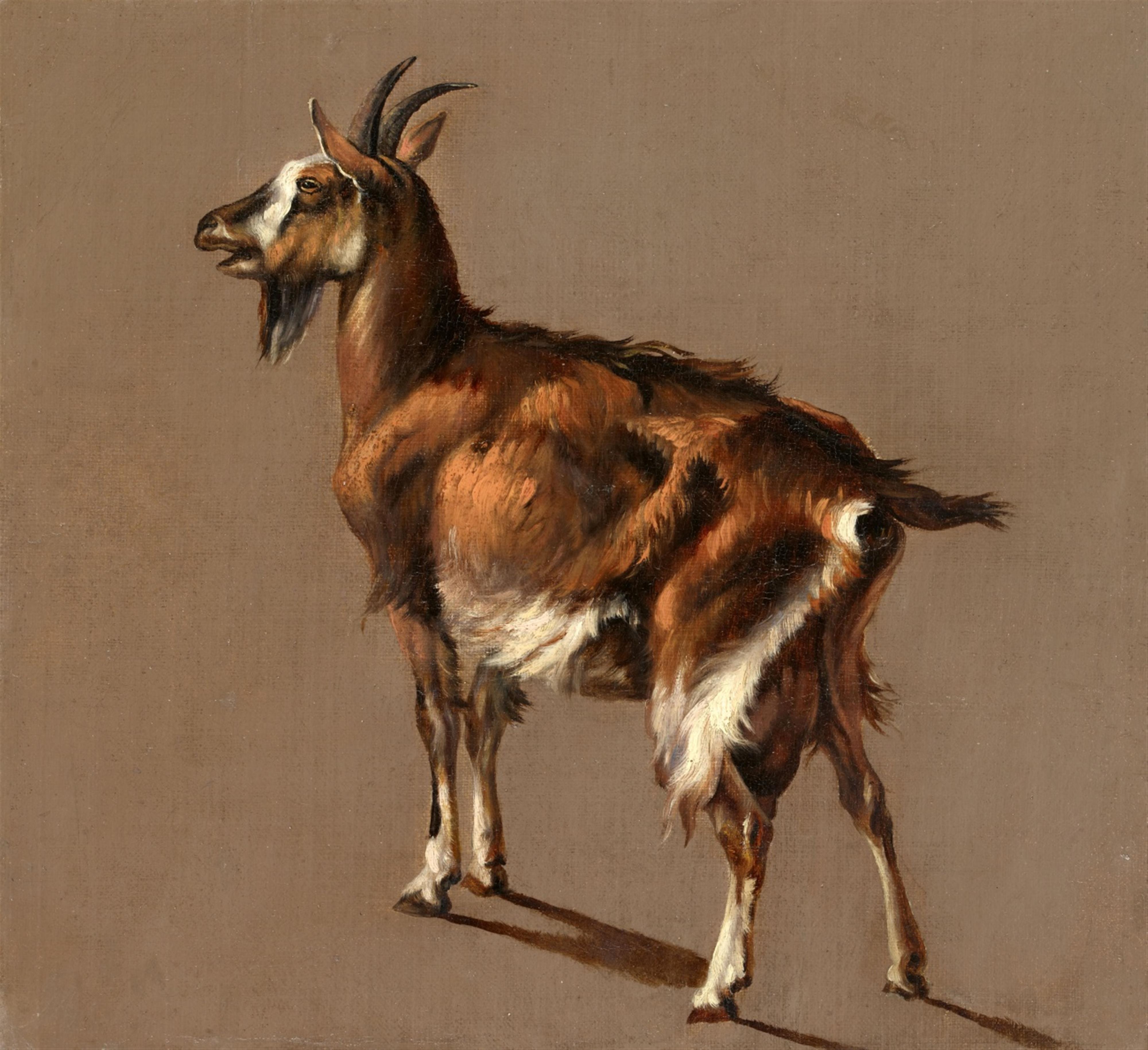 Jacob Philipp Hackert - Study of a Goat - image-1