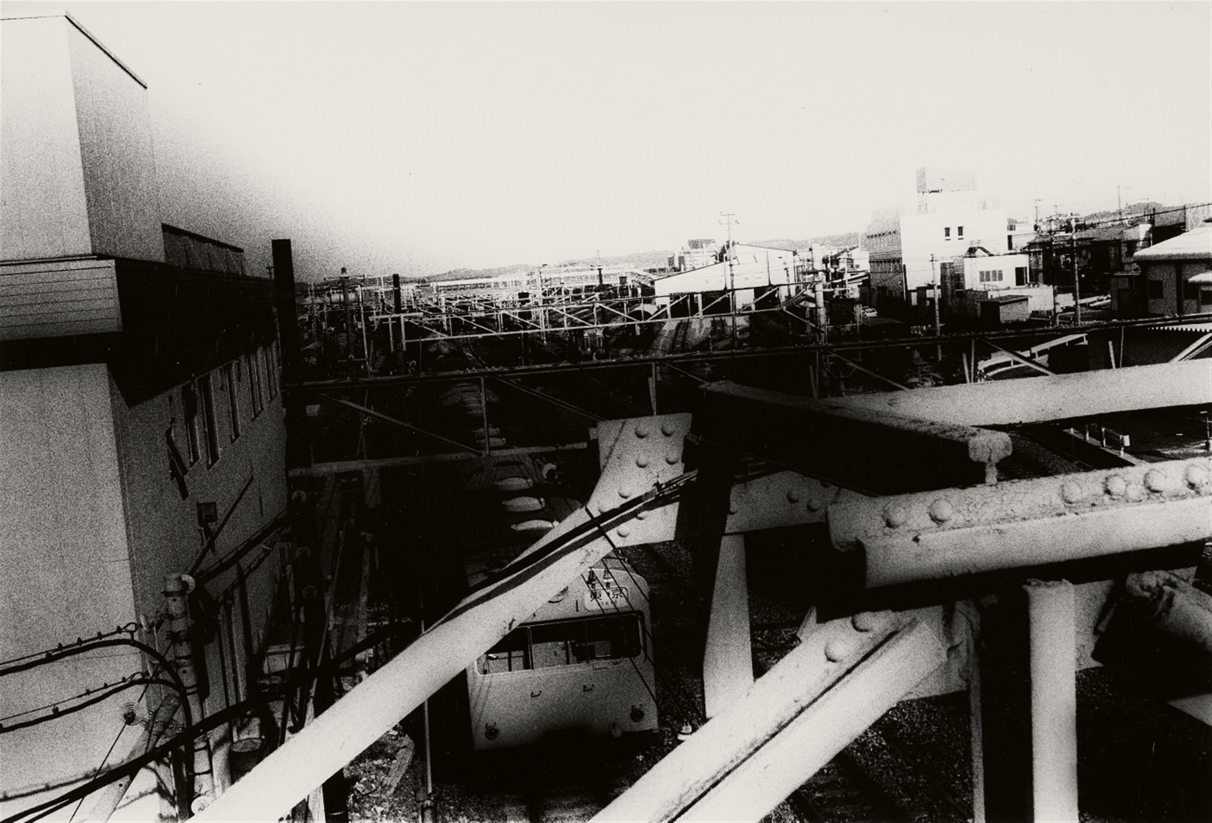 Daido Moriyama - Untitled (from the series: Memory of Dog/A Following Story/Landscape) - image-1