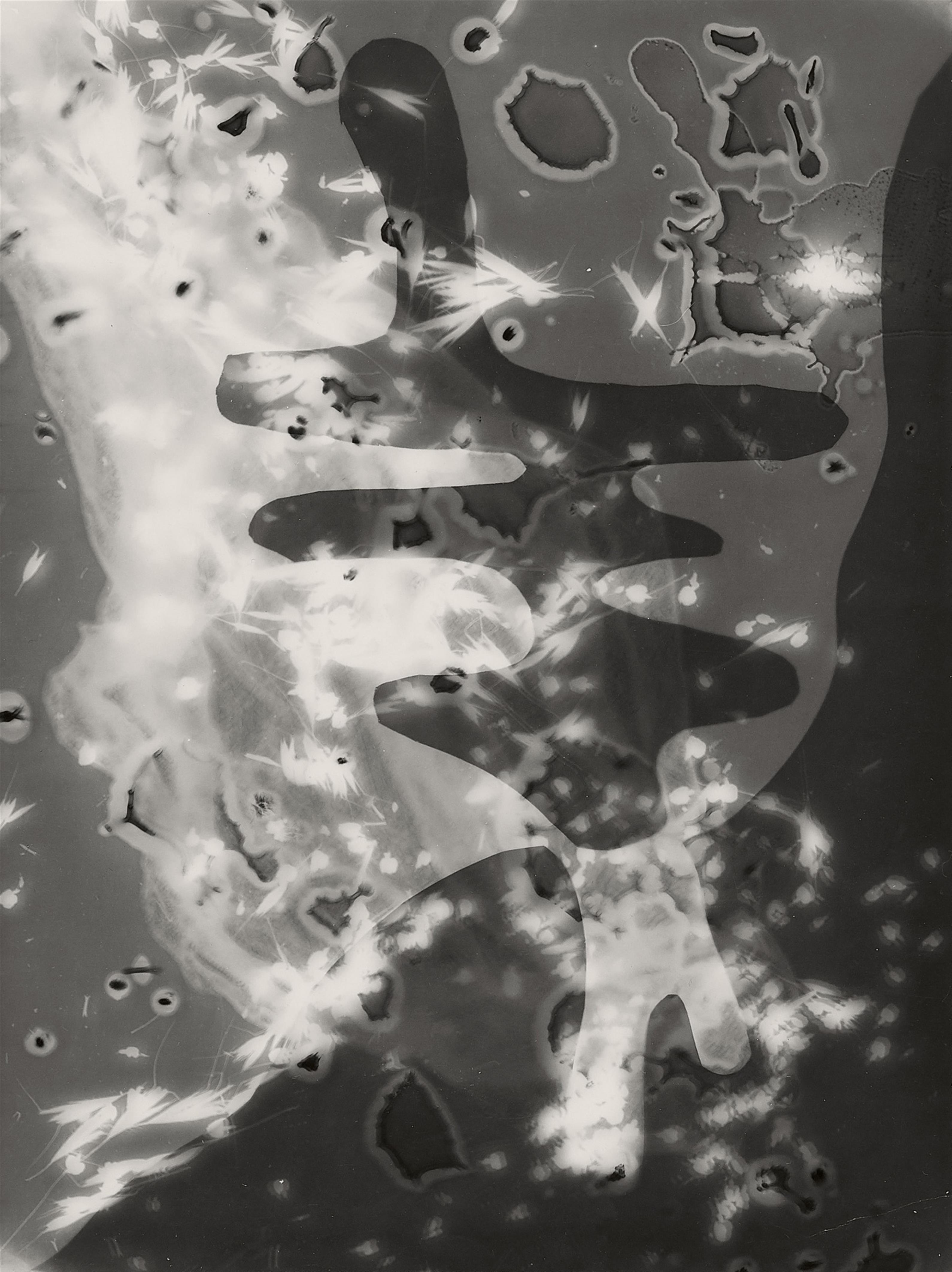 Anneliese Hager - Photogram - image-1