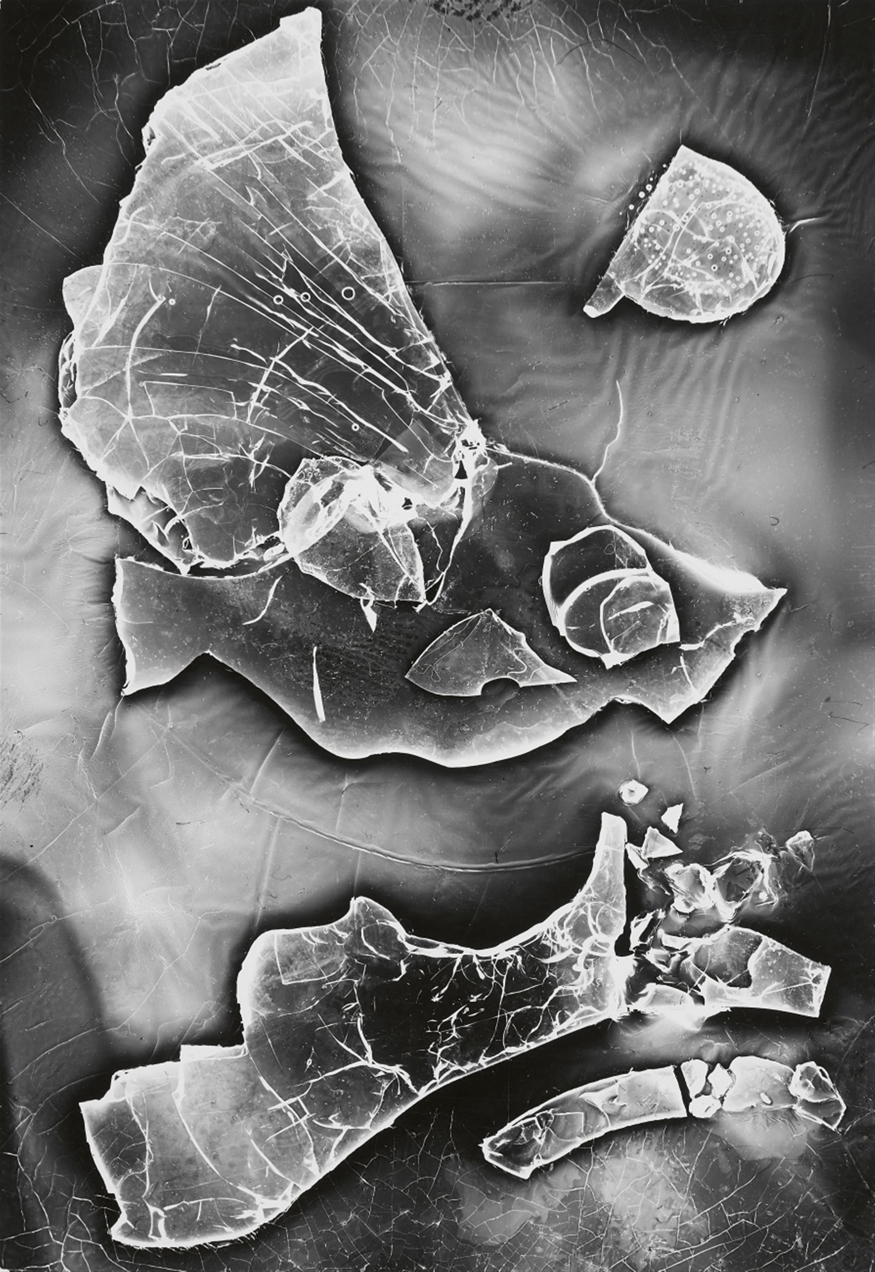 Heinz Hajek-Halke - Diluviales Aquarium - image-1