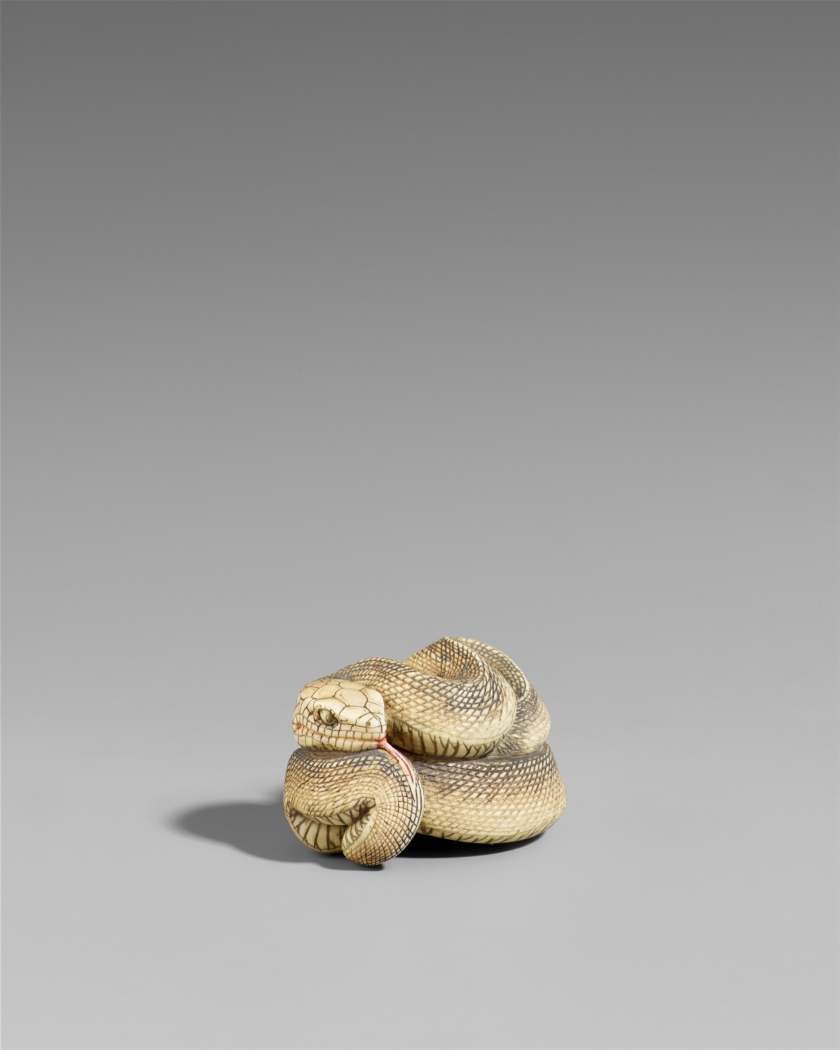 An ivory netsuke of a snake. Ivory. Early 20th century - image-1