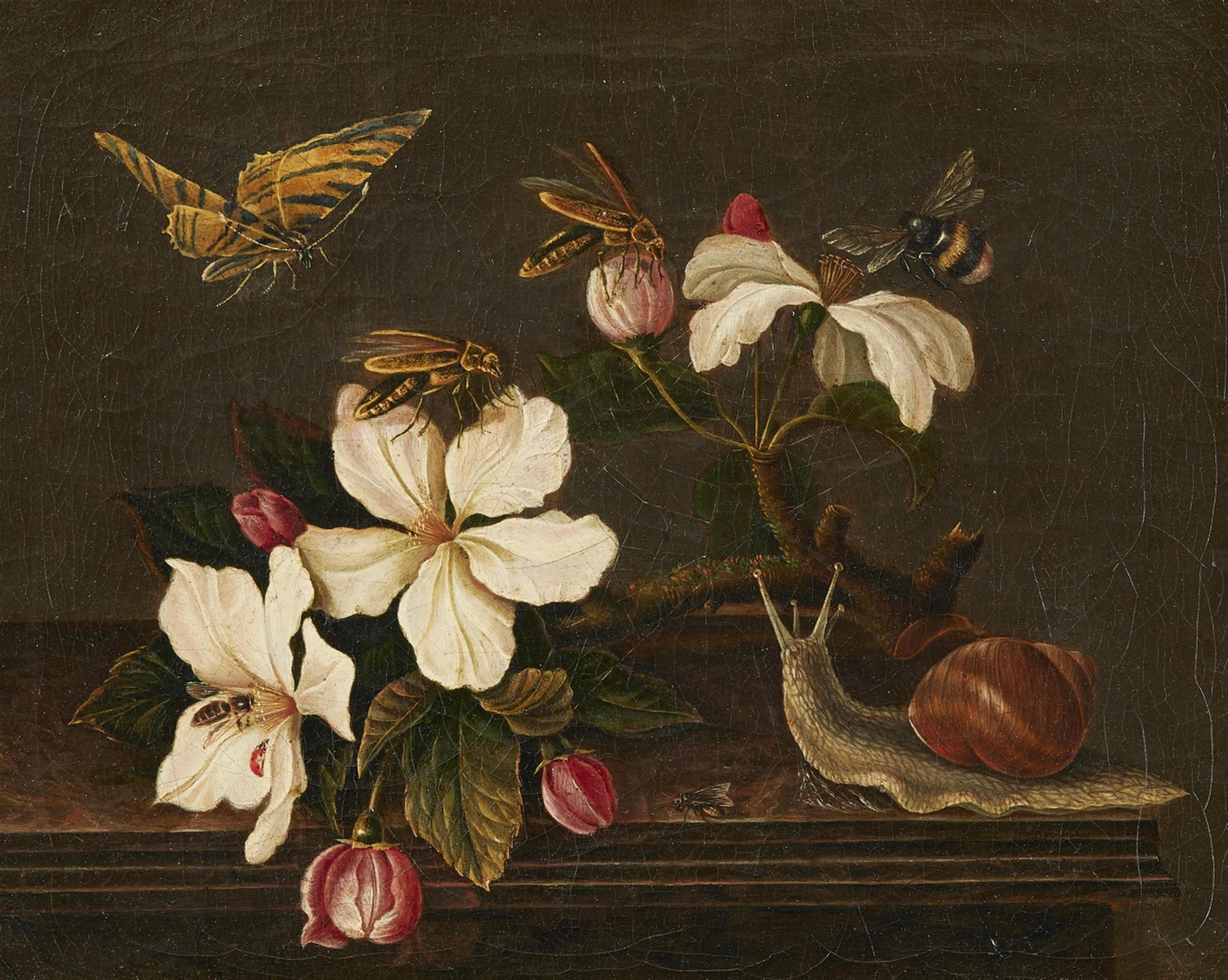 Unknown Artist 18th / 19th century - Still Life with a Flowering Branch, Snail, and Insects - image-1