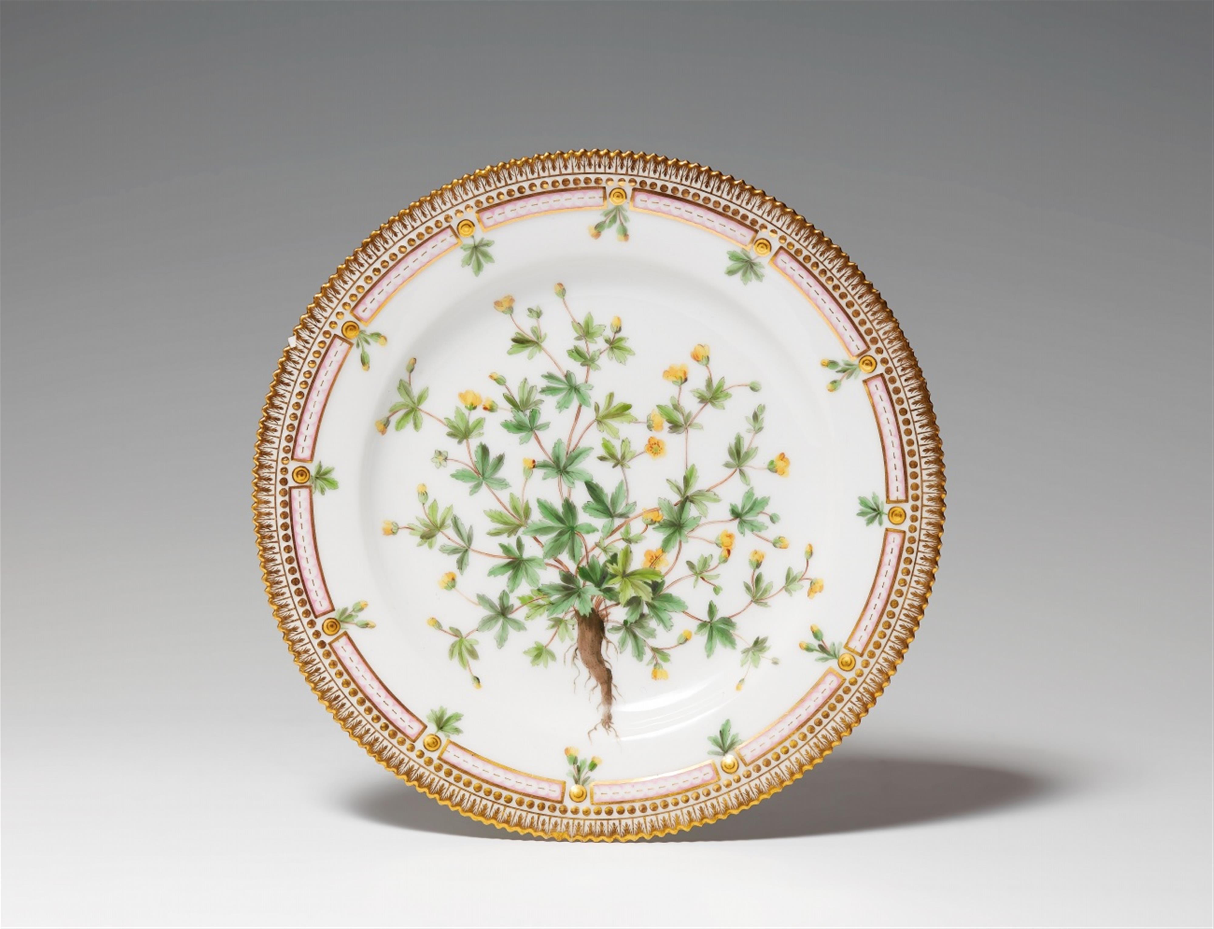 A Royal Copenhagen "Potentilla Tormentilla. Sibth." plate from the Flora Danica service - image-1