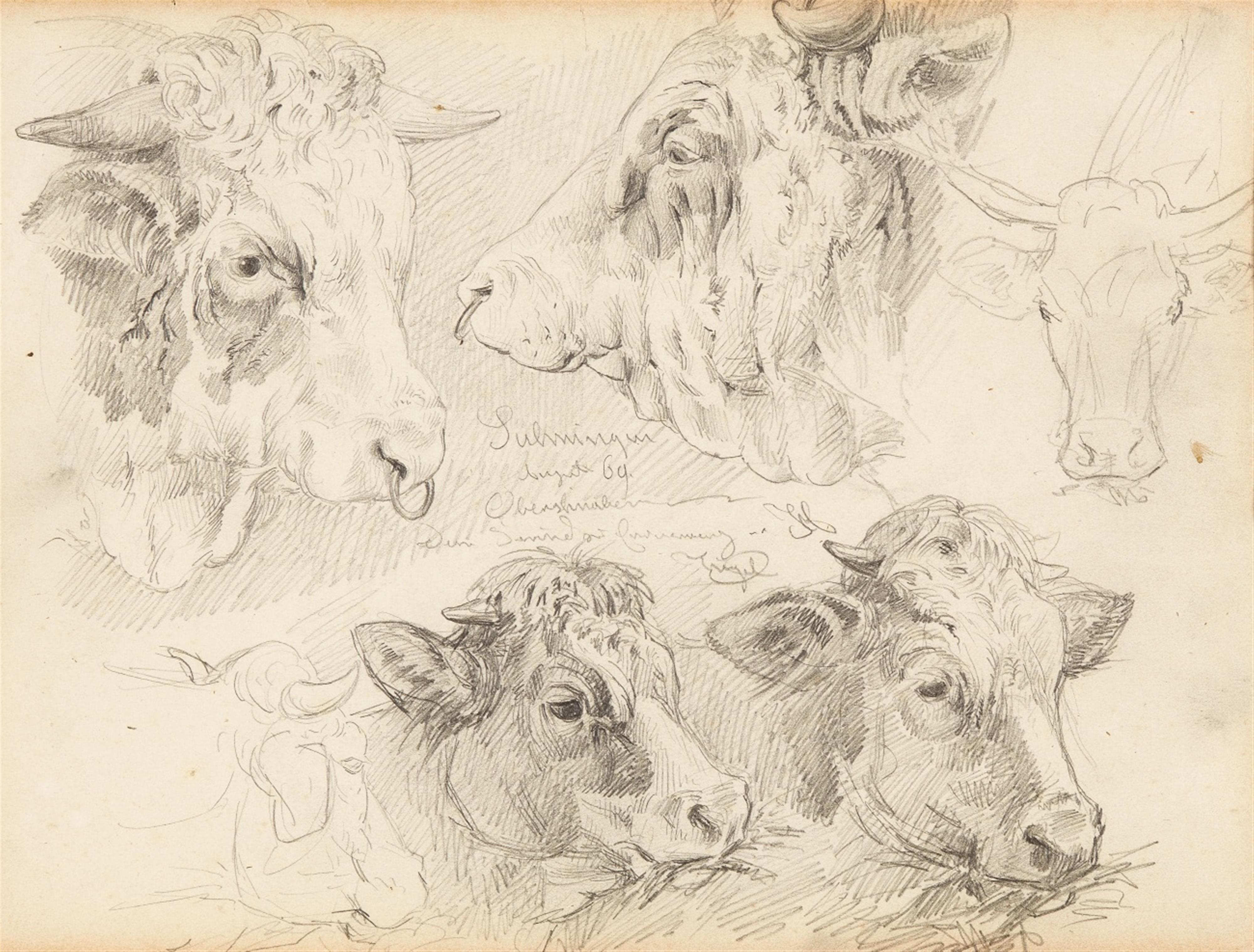 Heinrich von Zügel - Studies of a Bull's Head - image-1