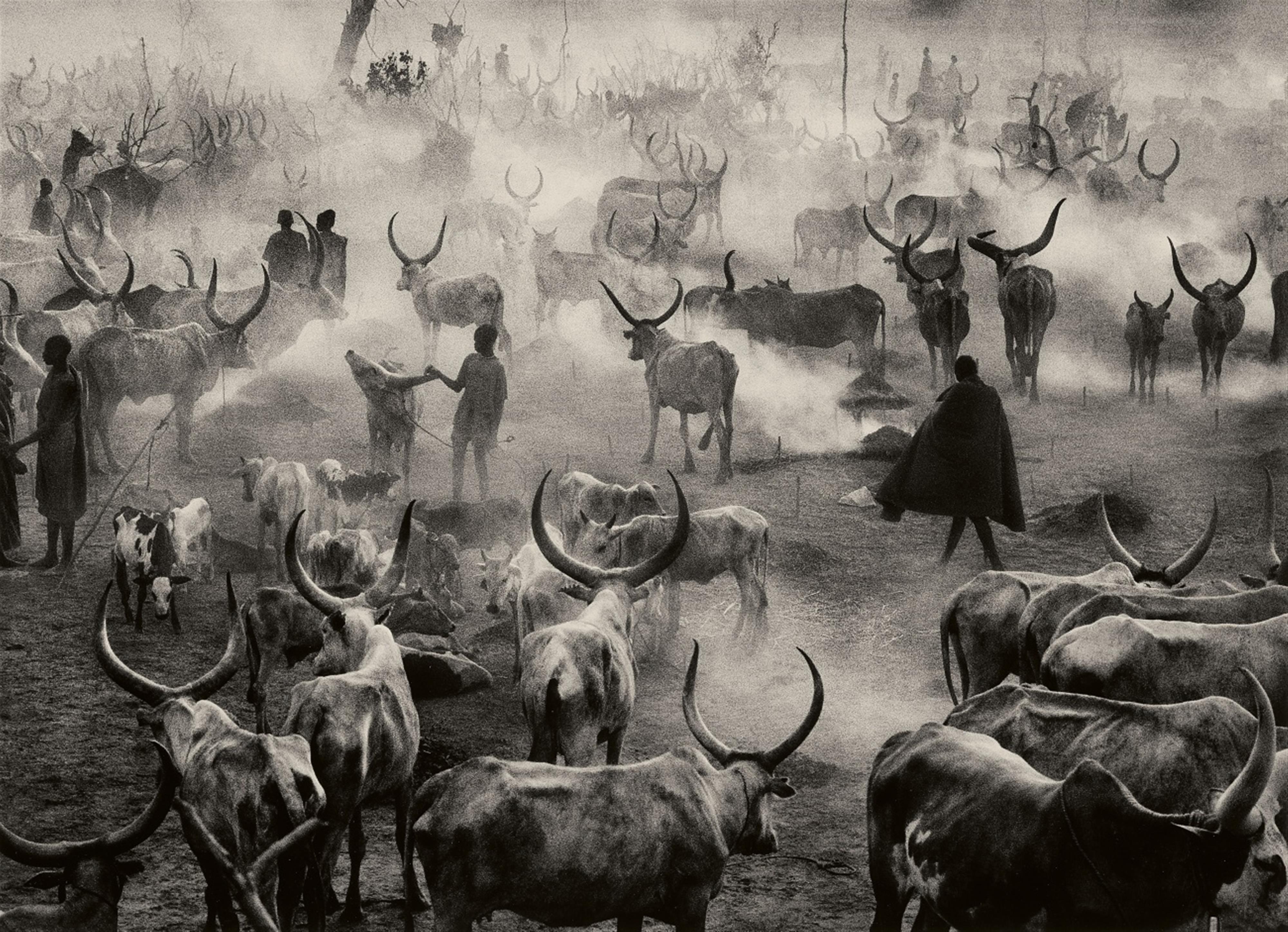 Sebastiao Sebastião - Dinka Cattle Camp of Amak, Southern Sudan - image-1