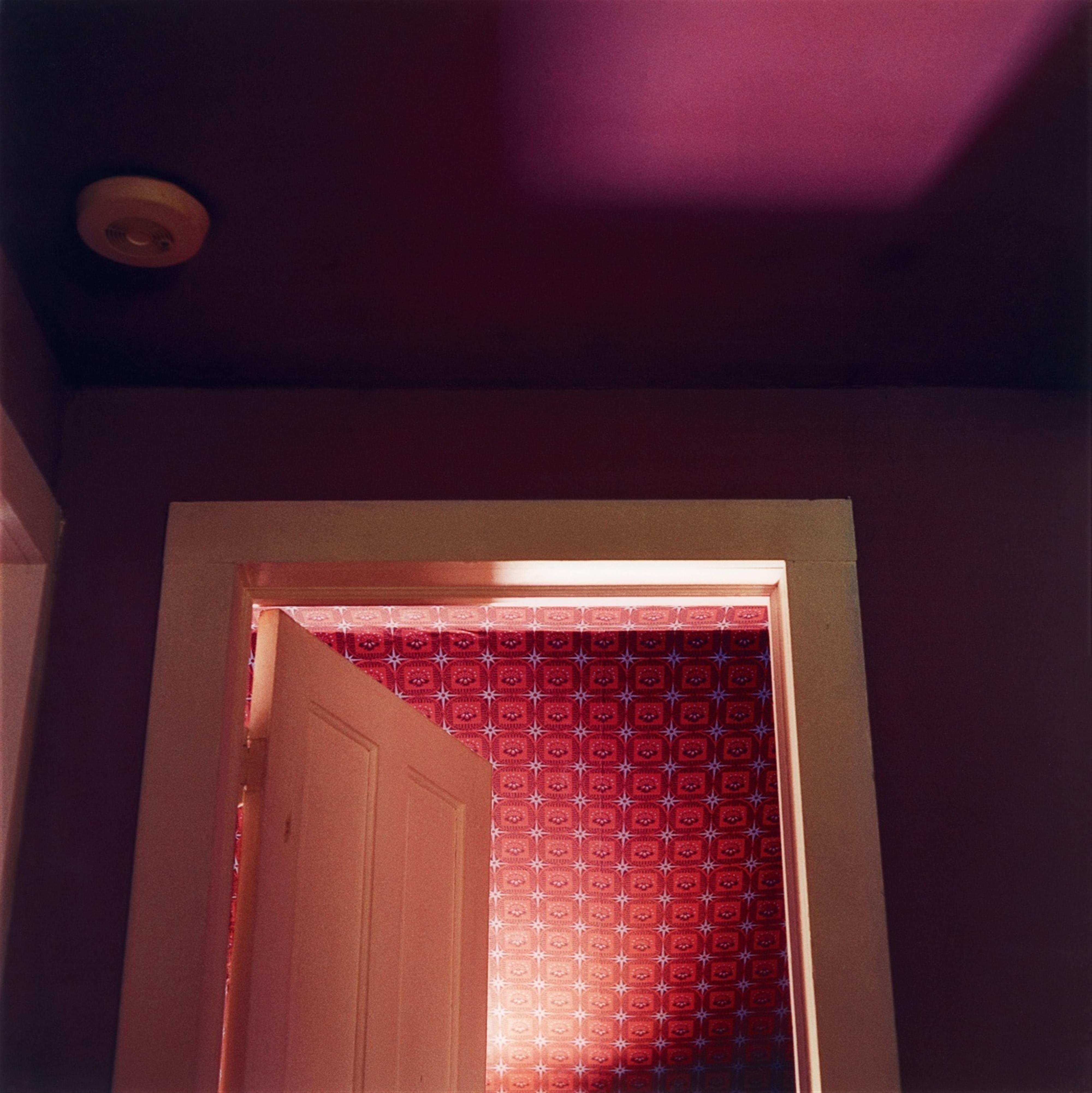 Raissa Venables - Bathroom Ceiling - image-1