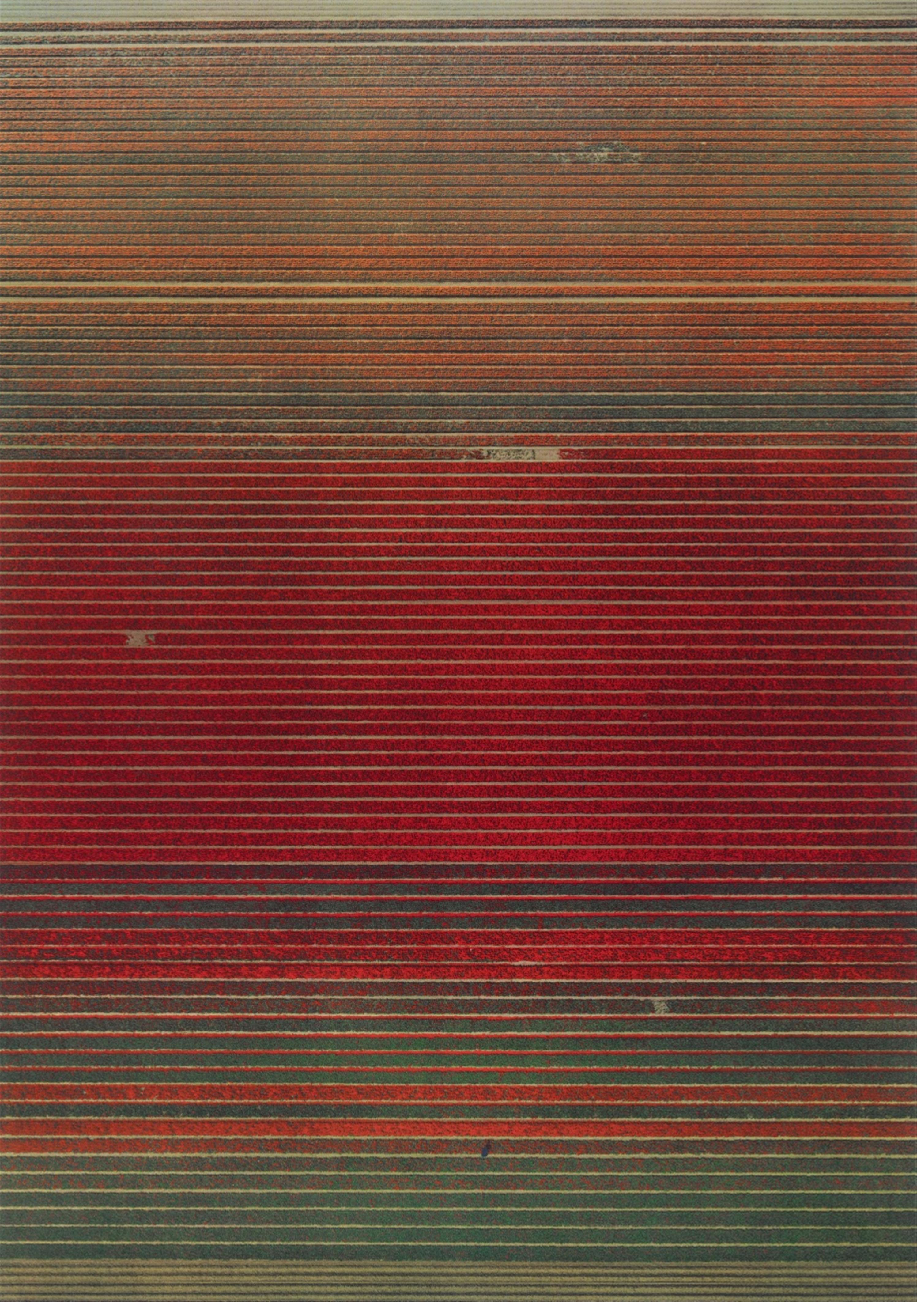 Andreas Gursky - Ohne Titel XVIII - image-1