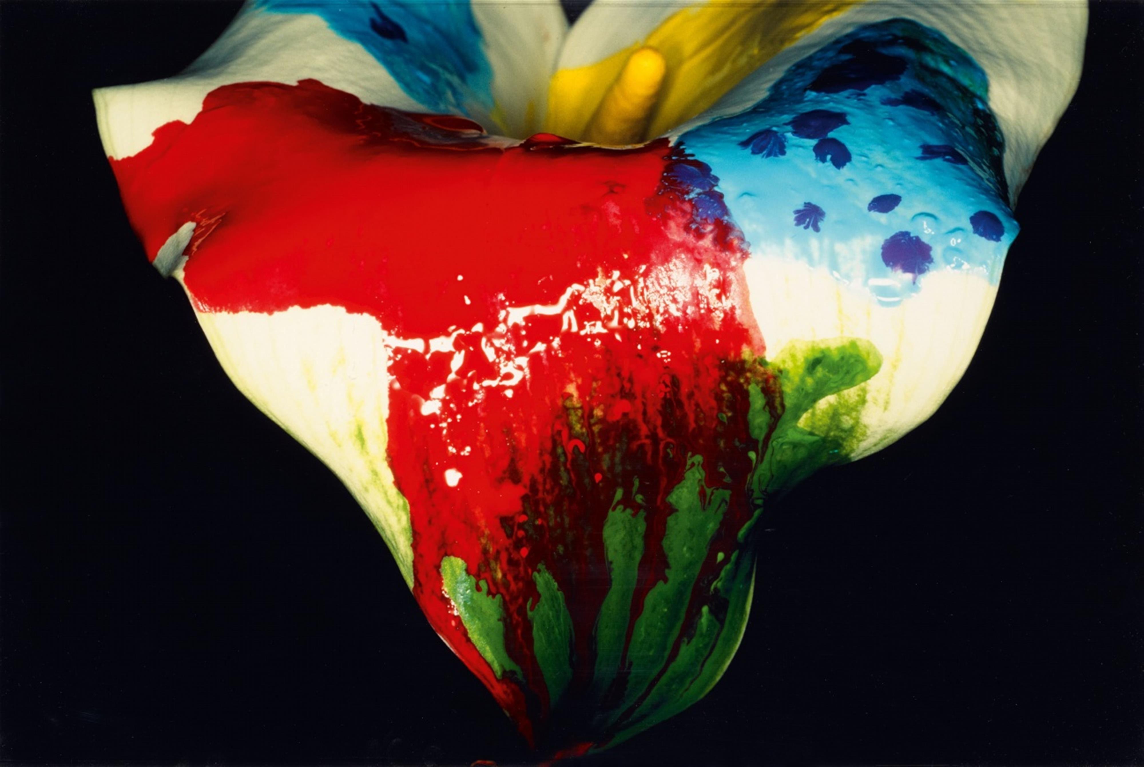 Nobuyoshi Araki - Painting Flower - image-1