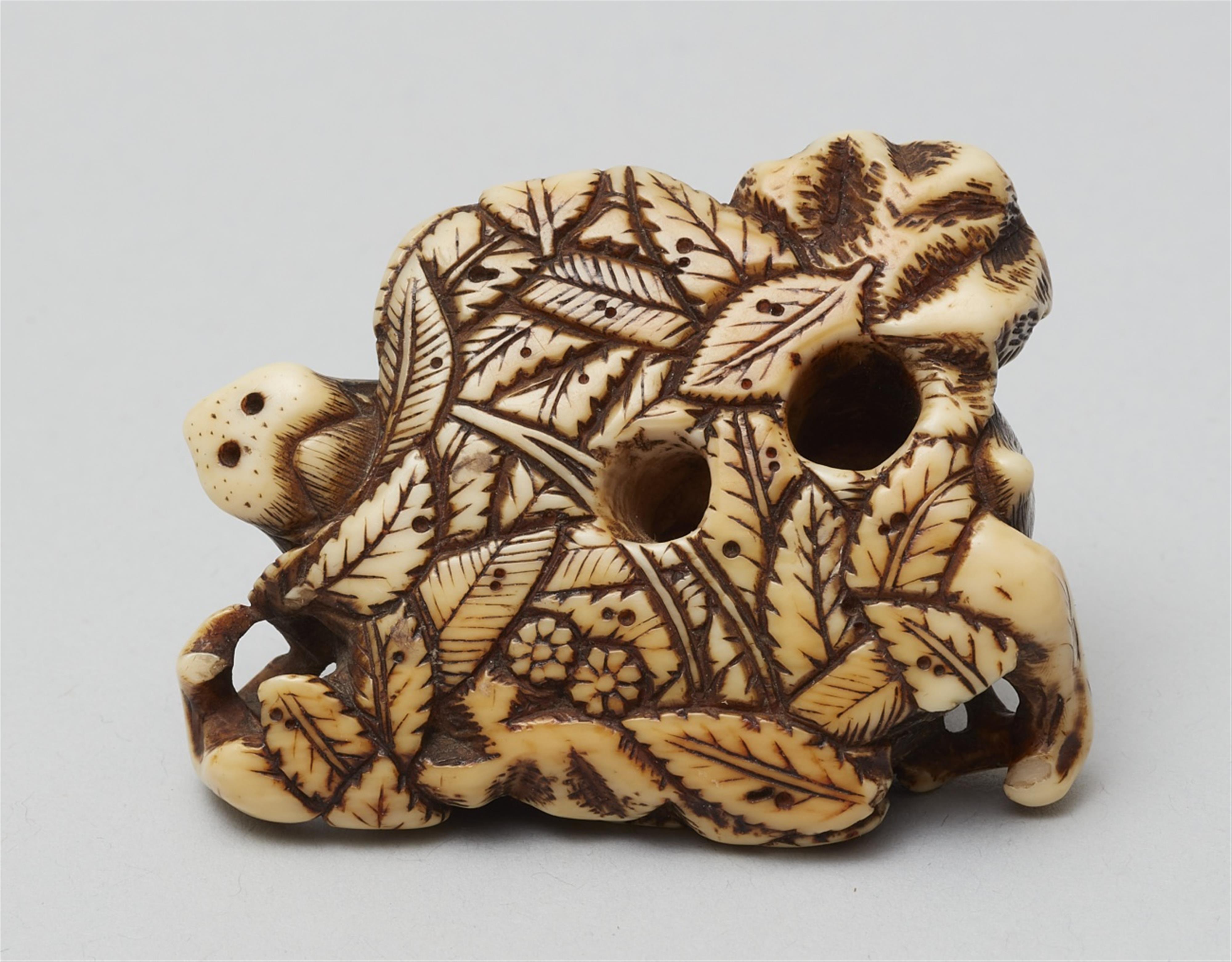 A good Kyoto school ivory netsuke of a recumbent boar on a bed of leaves. Late 18th century - image-2