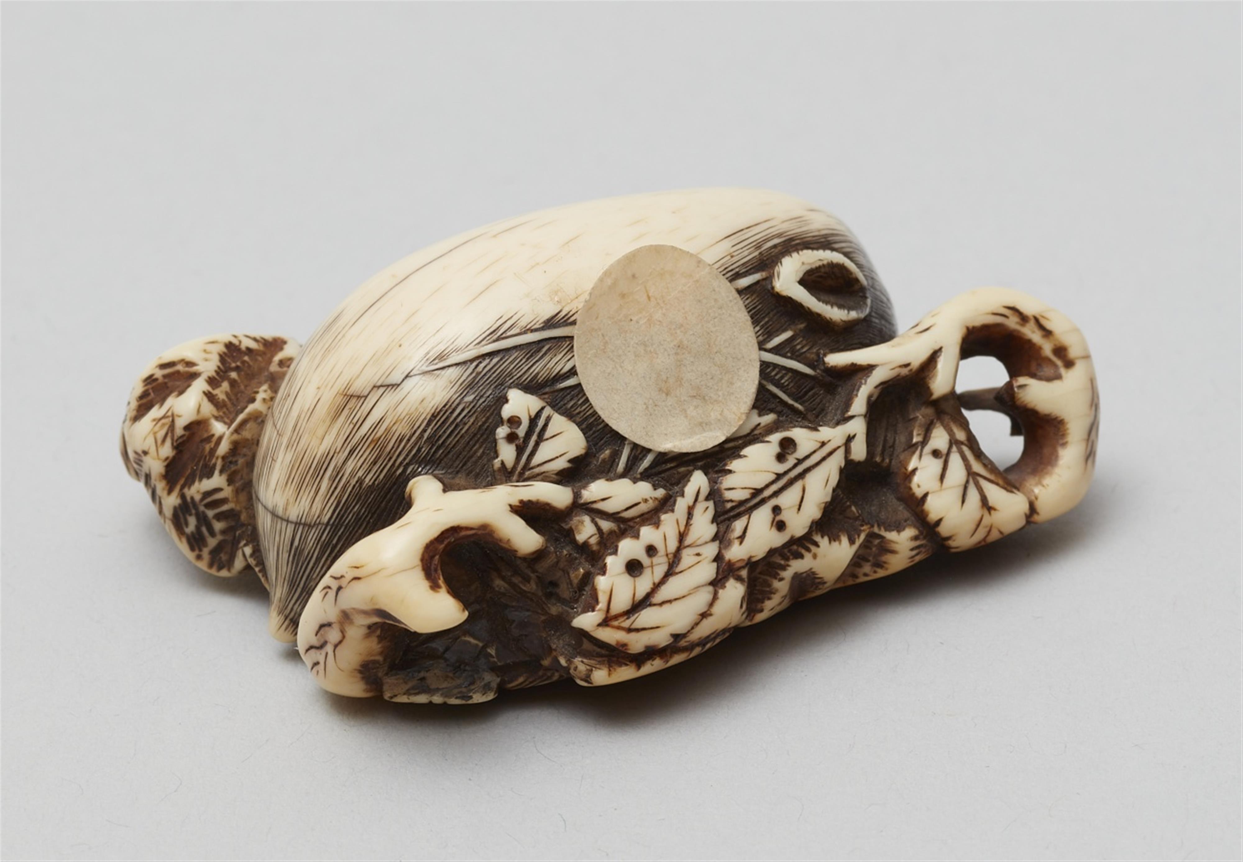 A good Kyoto school ivory netsuke of a recumbent boar on a bed of leaves. Late 18th century - image-3