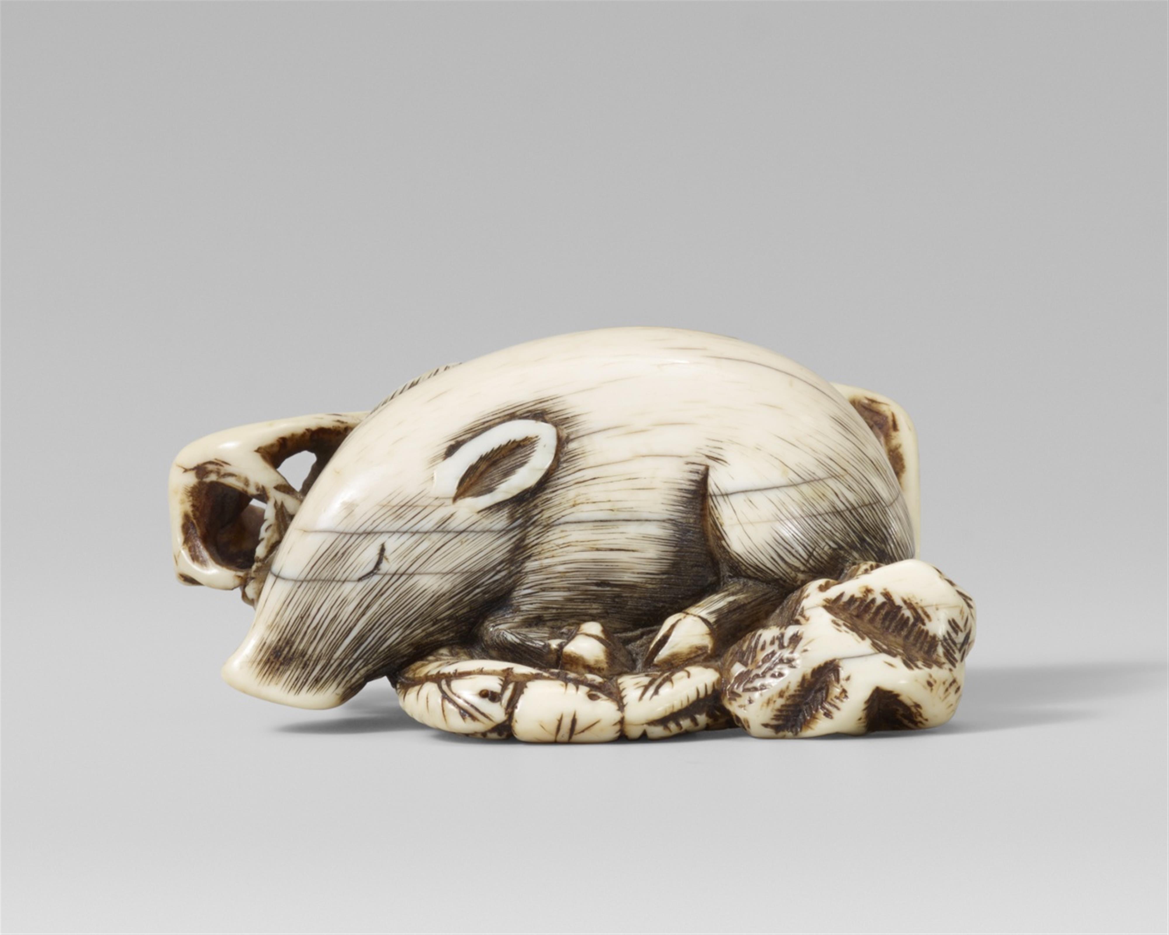 A good Kyoto school ivory netsuke of a recumbent boar on a bed of leaves. Late 18th century - image-1
