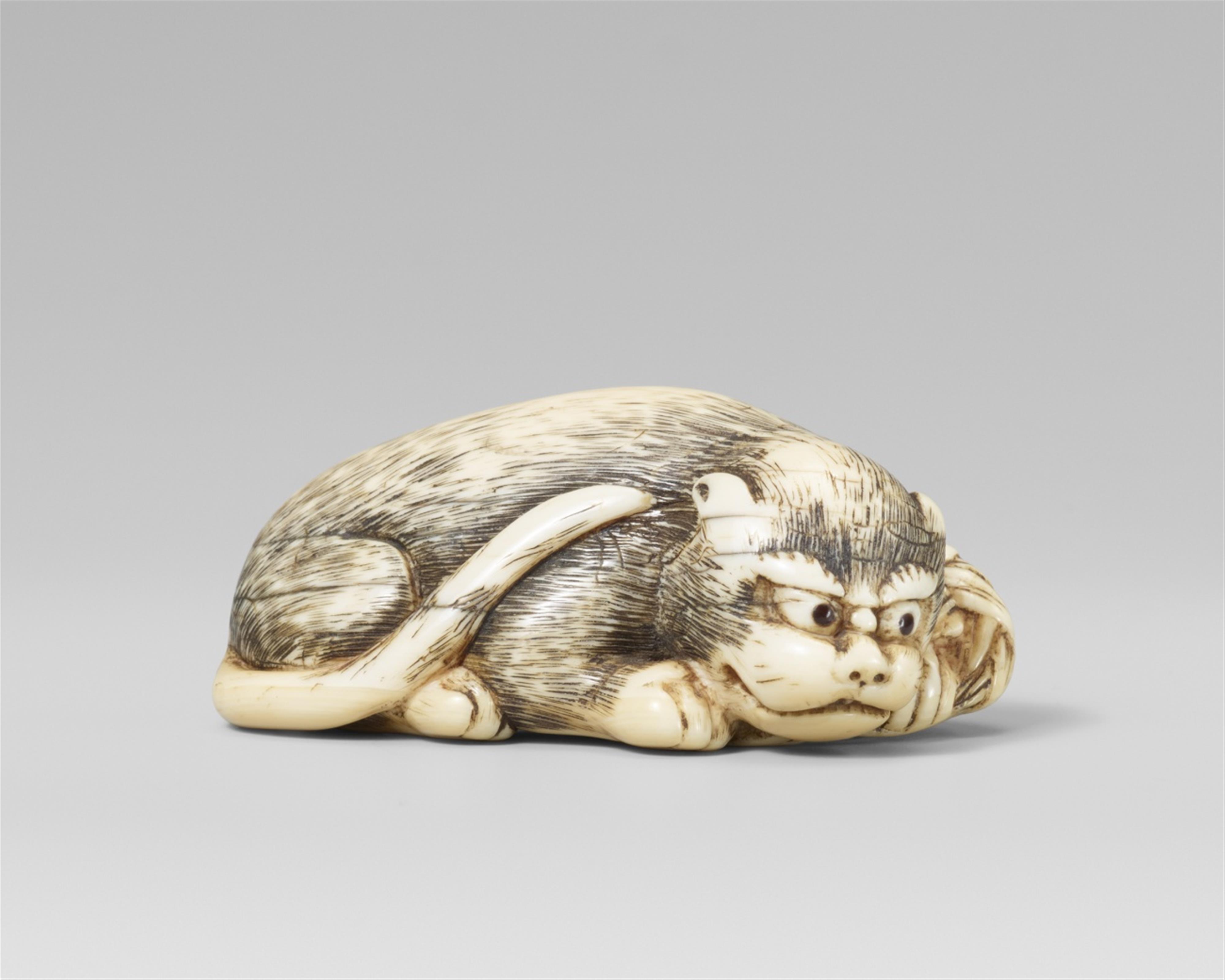An interesting ivory netsuke of a recumbent tiger. Late 18th century - image-1