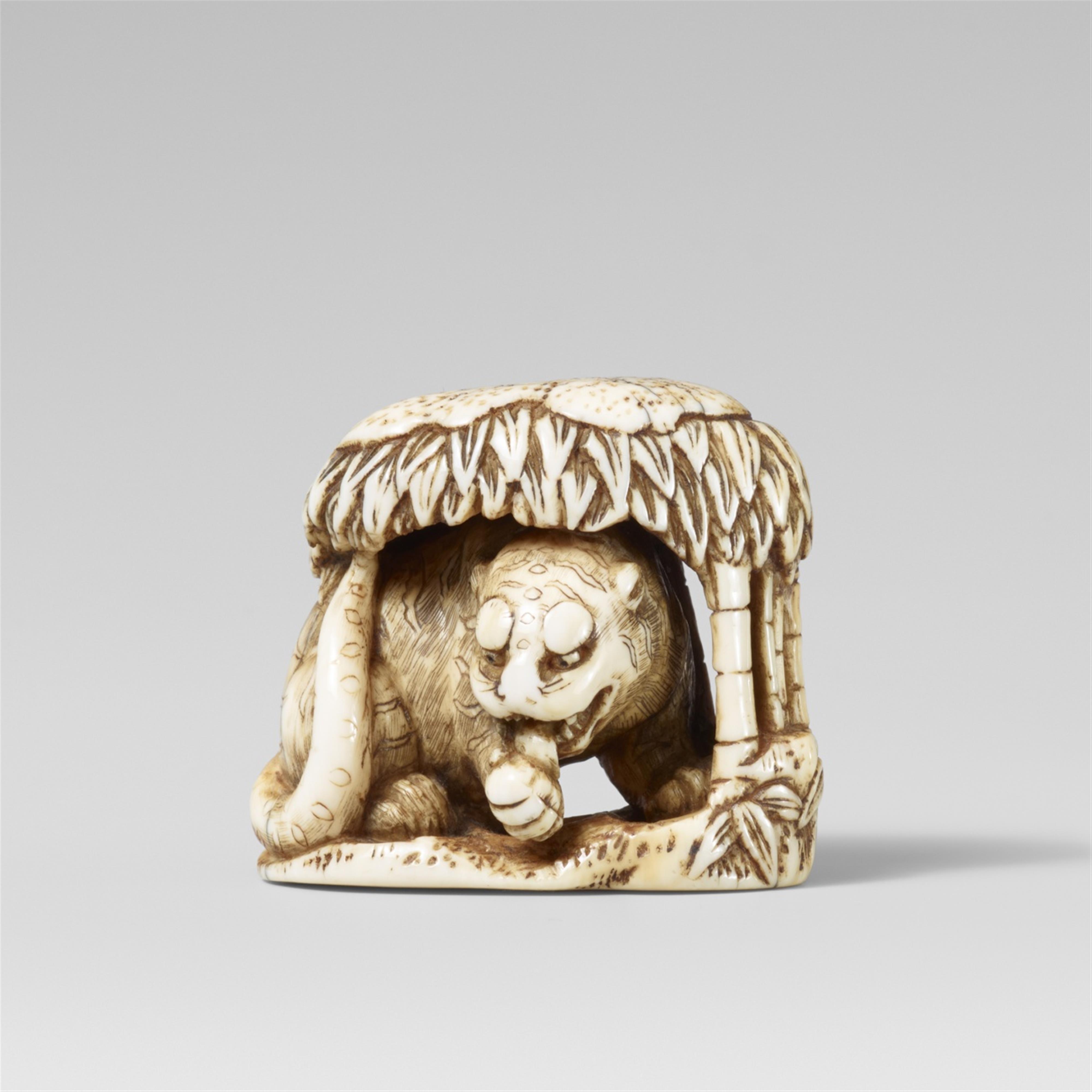 An ivory netsuke of a tiger underneath bamboo. Late 18th/early 19th century - image-1