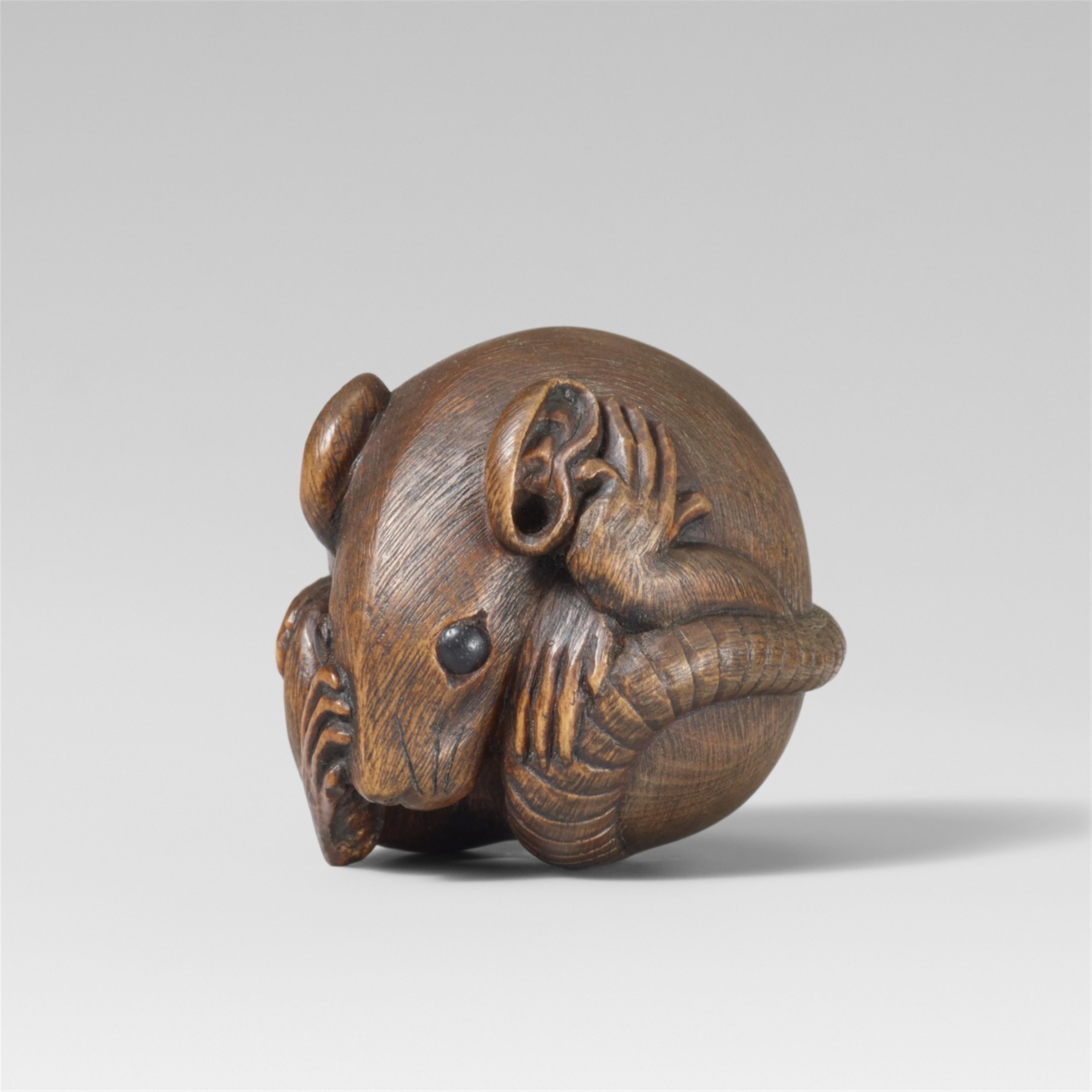 A large and fine boxwood Ise-Yamada school netsuke of a rat rolled into a ball, by Masashige. Ca. 1960/1970 - image-1
