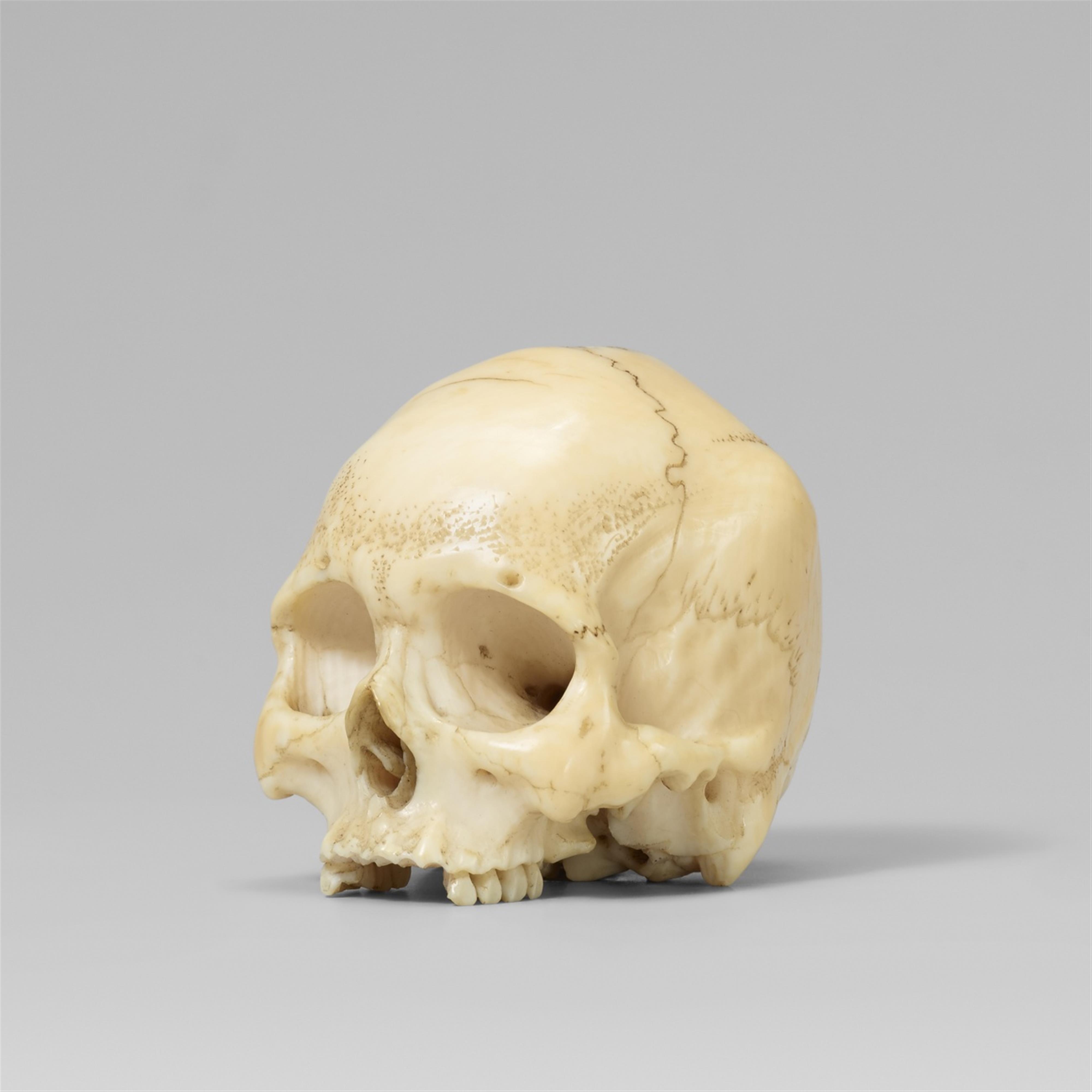A very fine and highly realistic ivory model of a skull. Late 19th century - image-1
