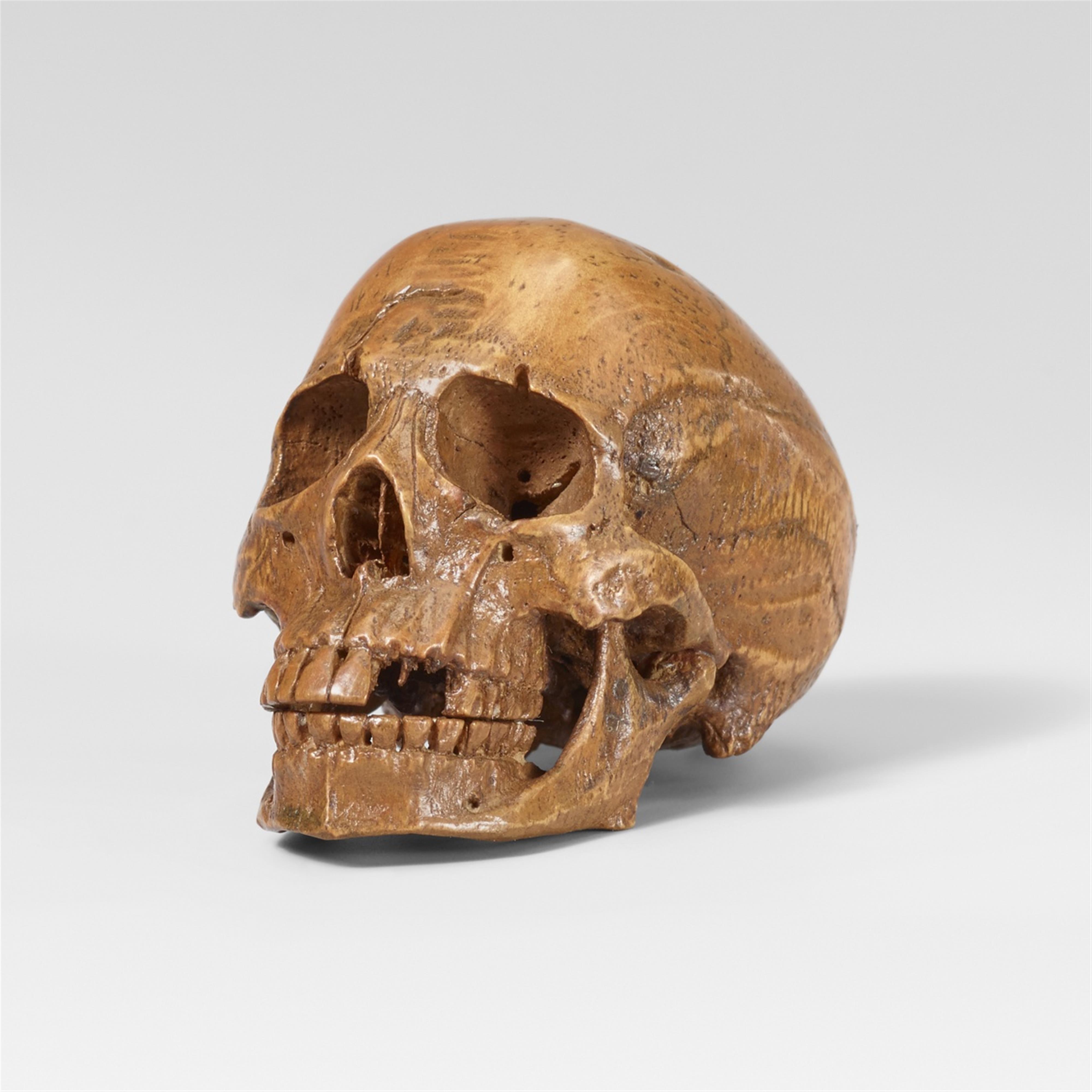 A boxwood model of a skull. Late 19th century - image-1